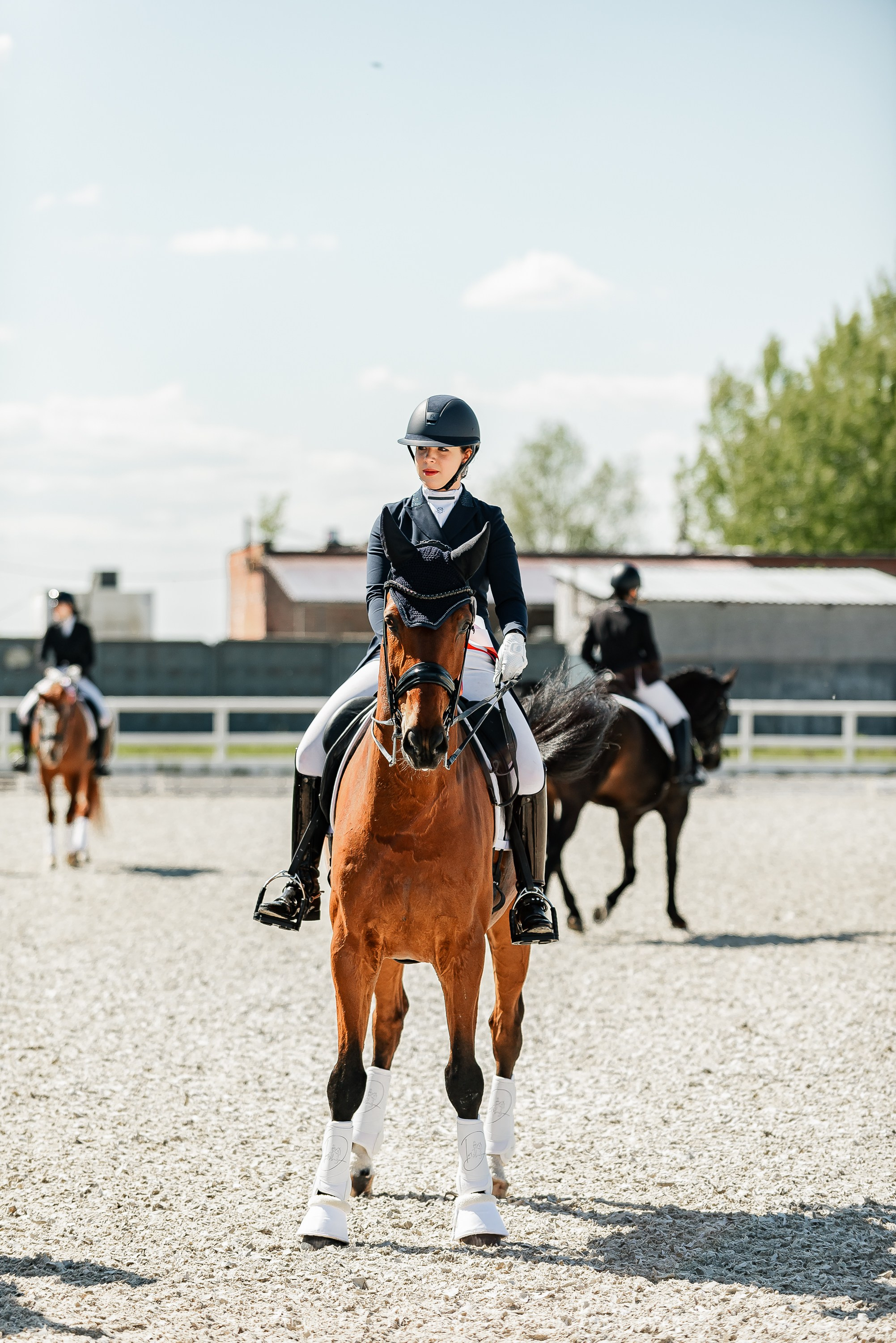 РЕПОРТАЖ МКК ВОЛЬТ «LA TULIPS». Конный фотограф Куракина Дарья • Фотосессии с лошадьми