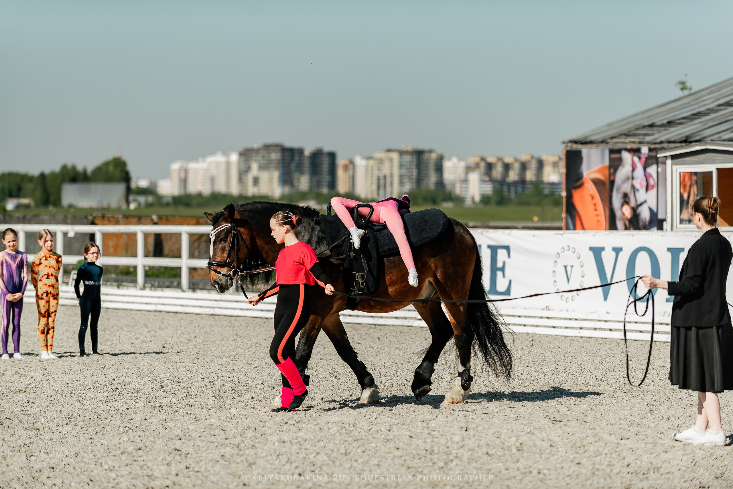 РЕПОРТАЖ МКК ВОЛЬТ «LA TULIPS». Конный фотограф Куракина Дарья • Фотосессии с лошадьми