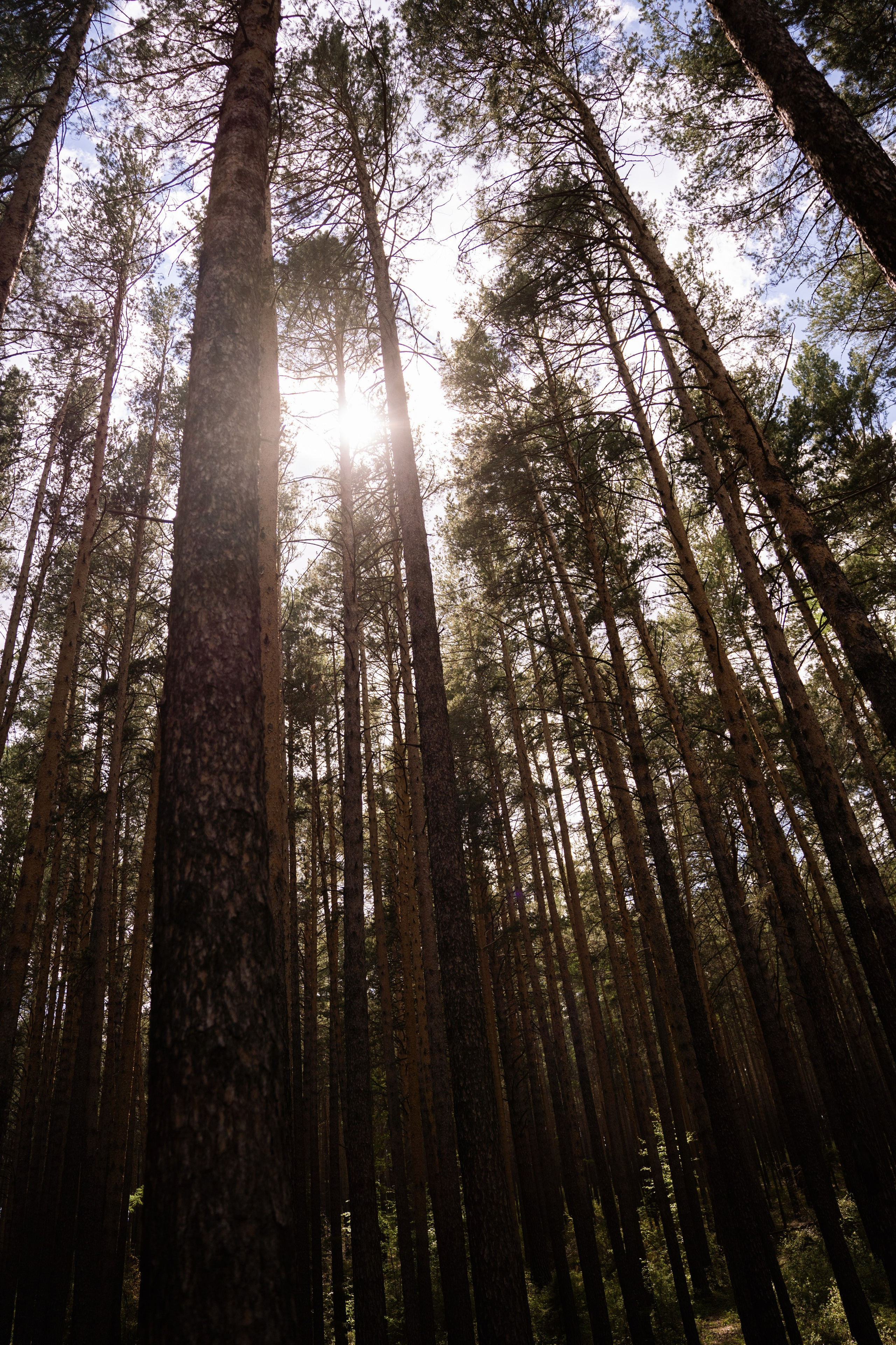 Анастасия и Никита. Главная