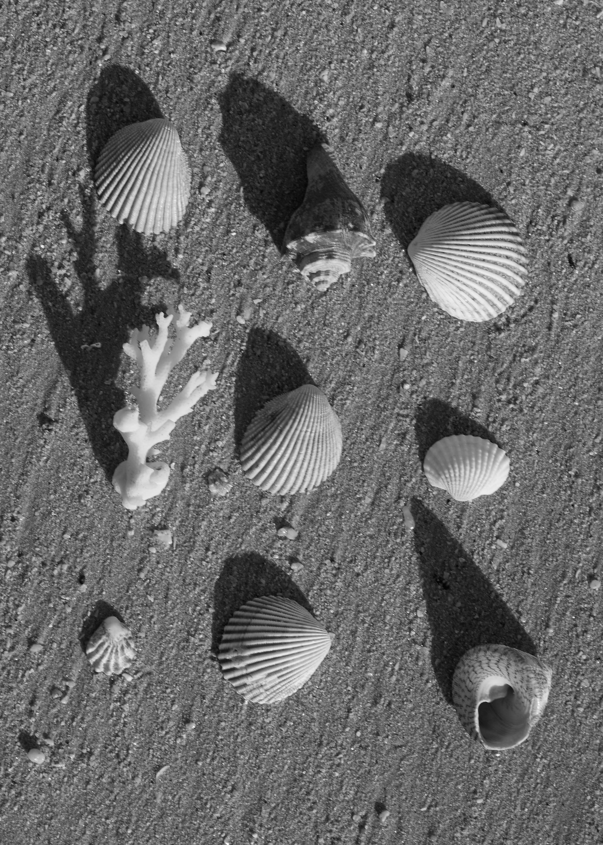 Alena. Photographer Evgenia Dudko