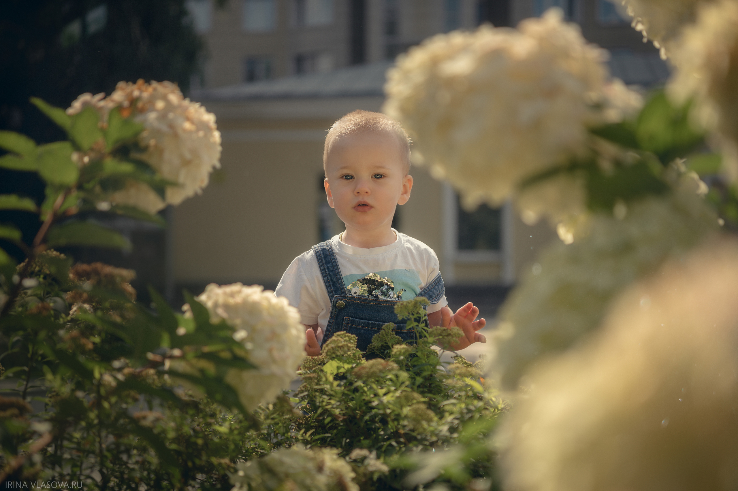 Family. Спортивный и портретный фотограф