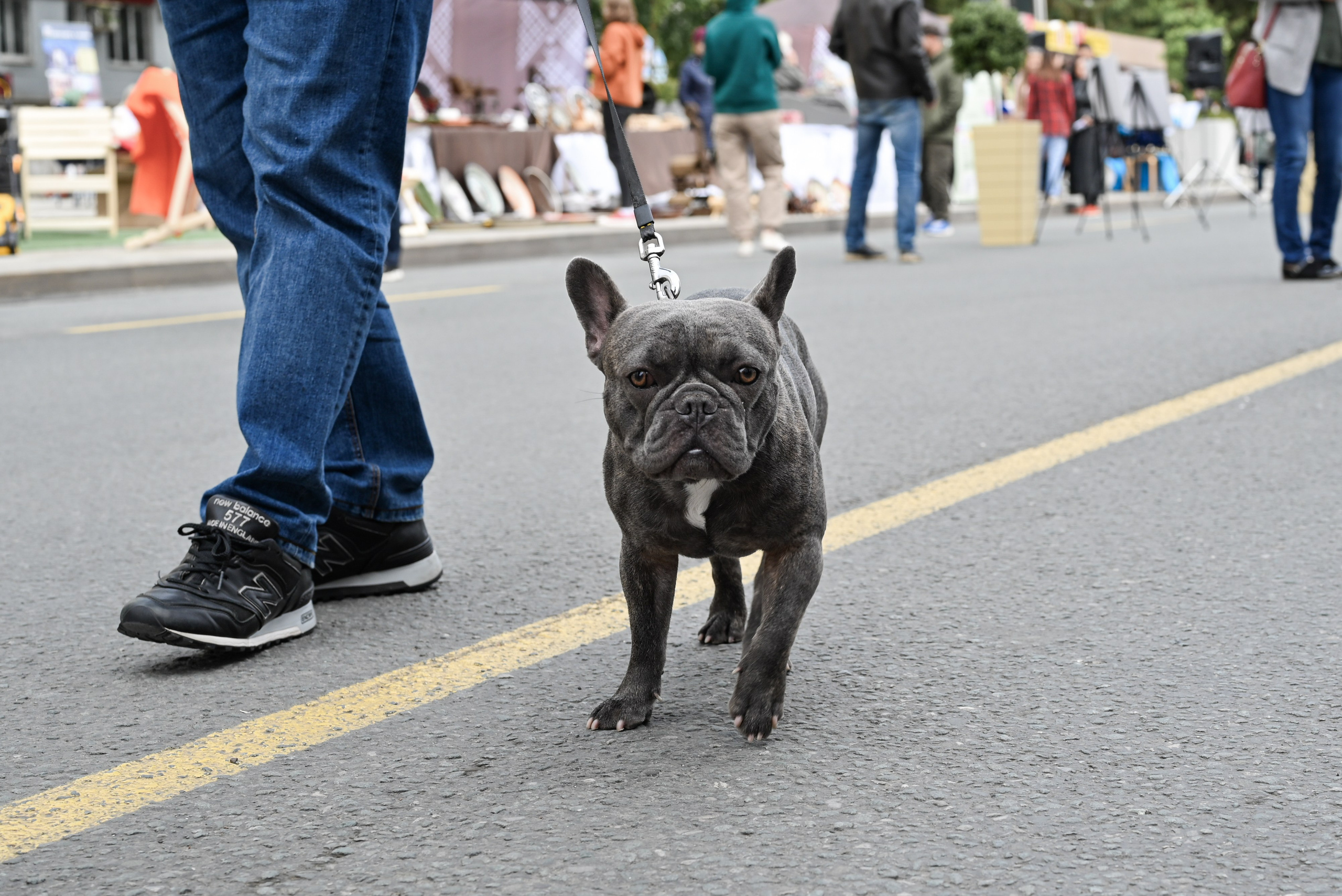 ЛУИДОР выставка. Свадебный и семейный фотограф в Уфе Александров Максим