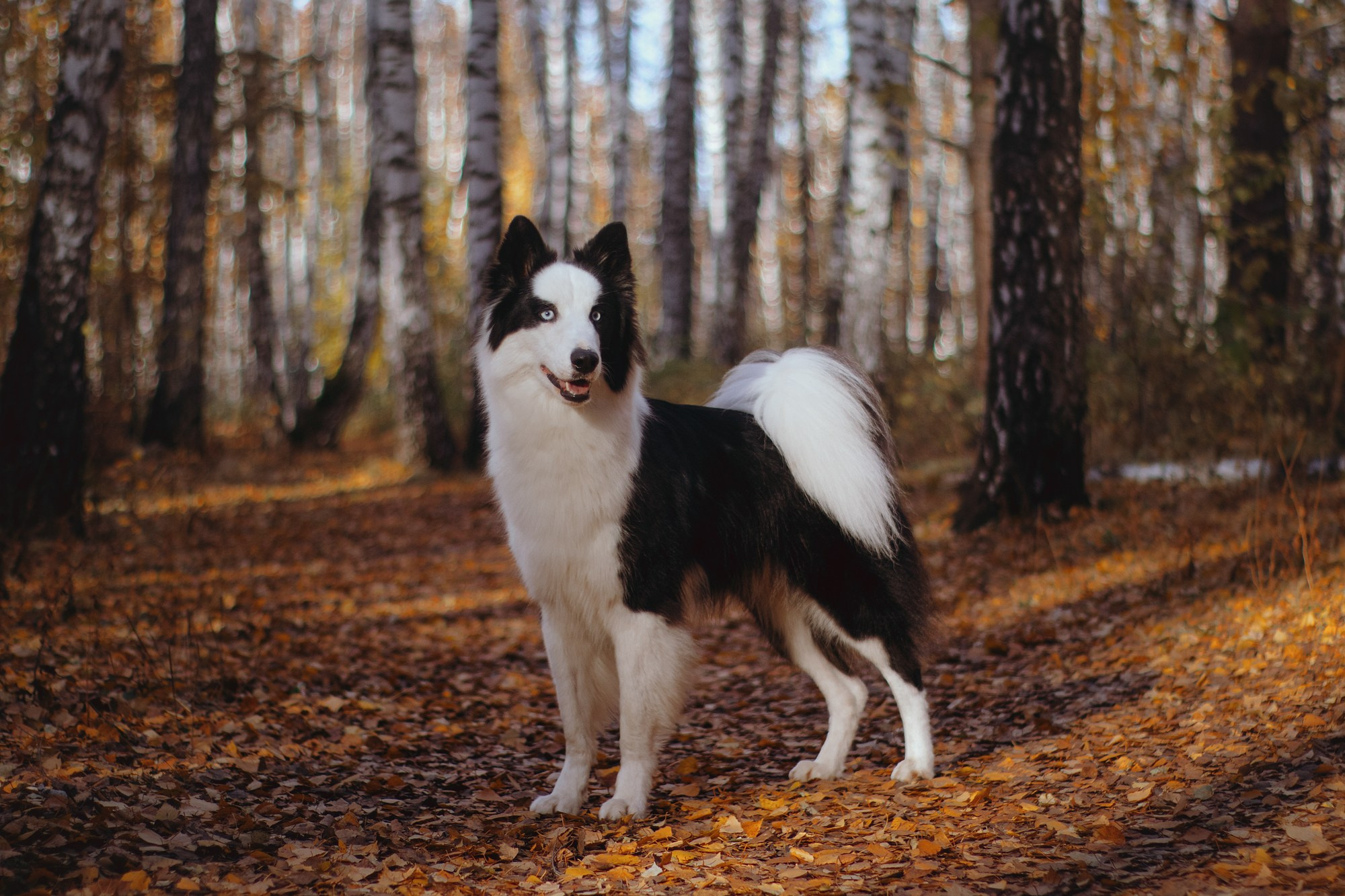 Ликёр. Фотограф в Тюмени Лизавета Сапицкая