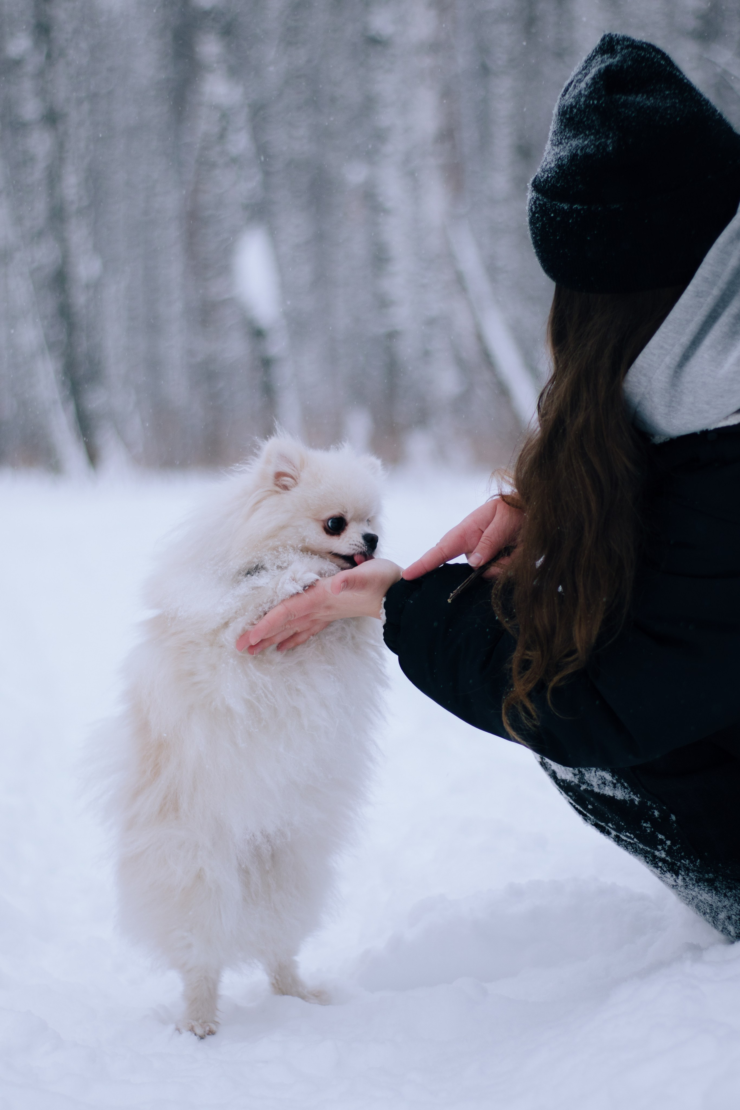 Лера, её мама и Саймон. Фотограф в Тюмени Лизавета Сапицкая