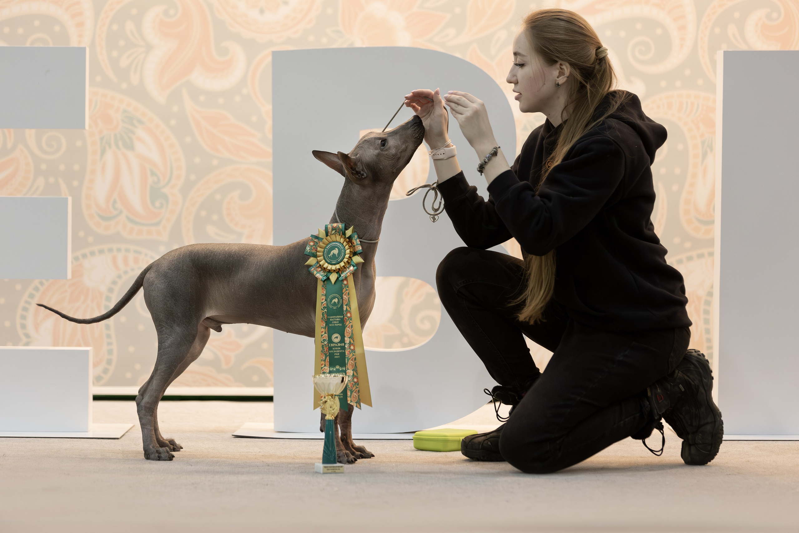 Евразия 2023. Фотограф анималист в Москве Майорова Евгения