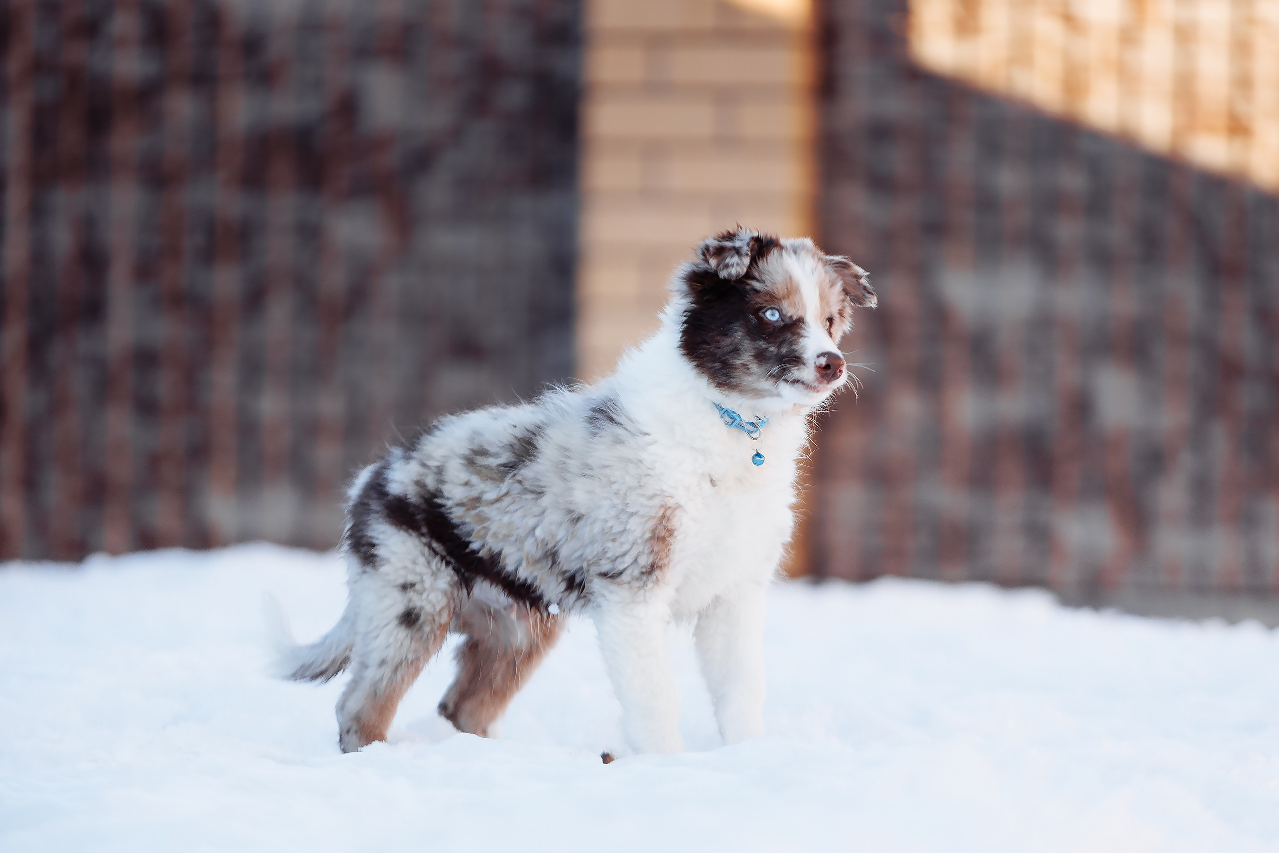 Пока таяло. О нас