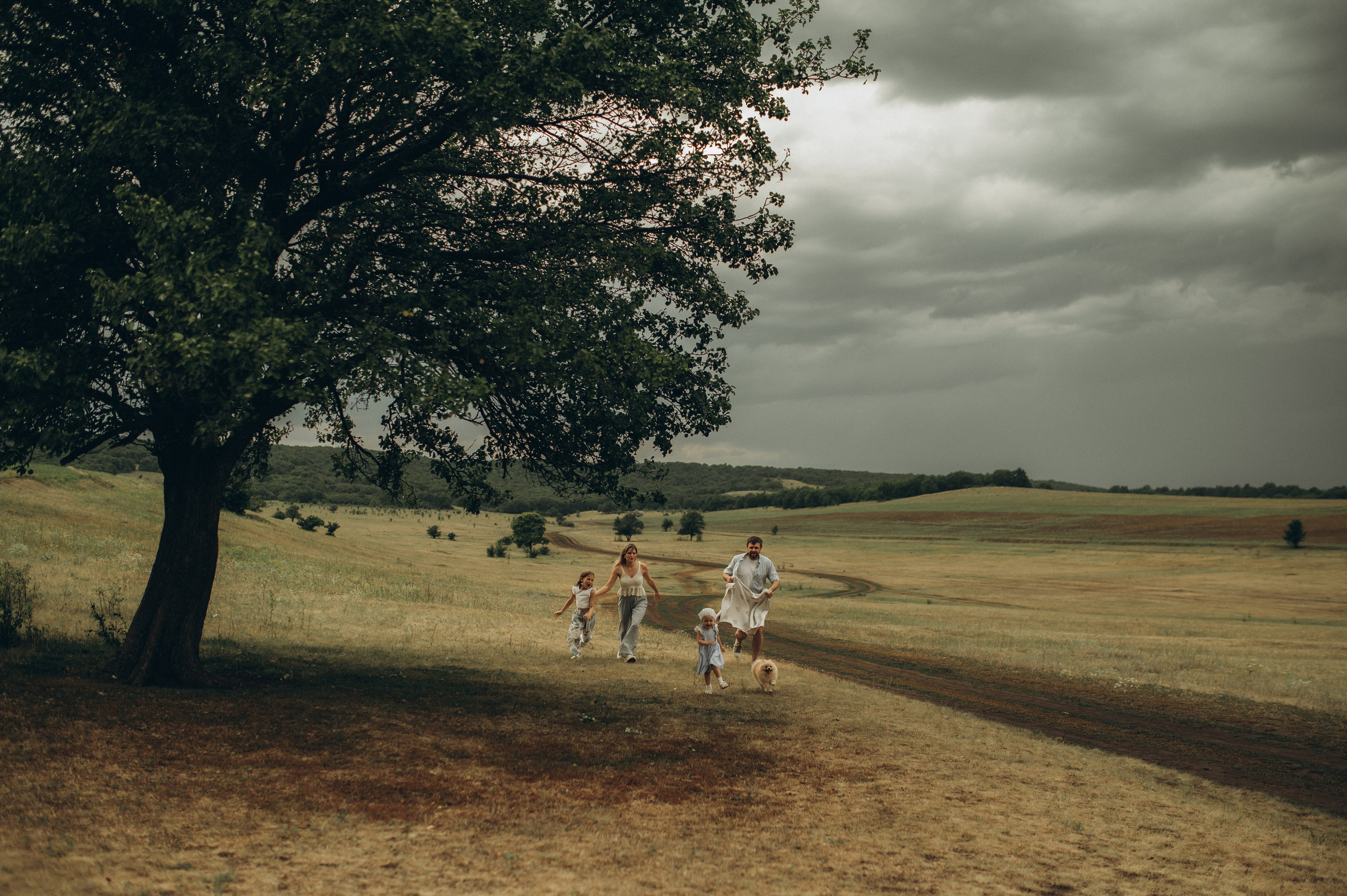 В грозу. Фотограф Быстрова Дарья г. Москва