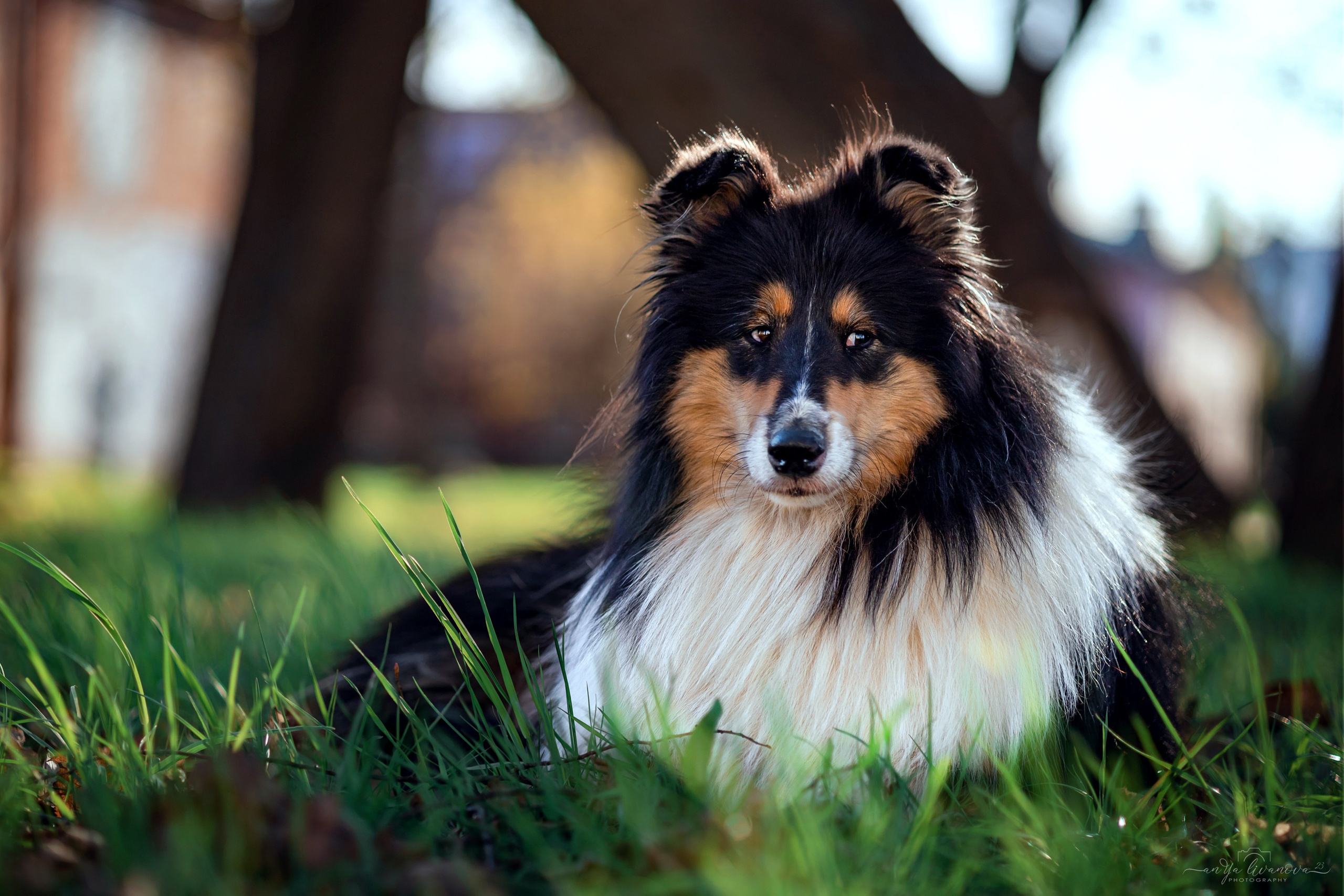 Оля и Вива. Фотограф анималист Аня Ливанова | Рыбинск