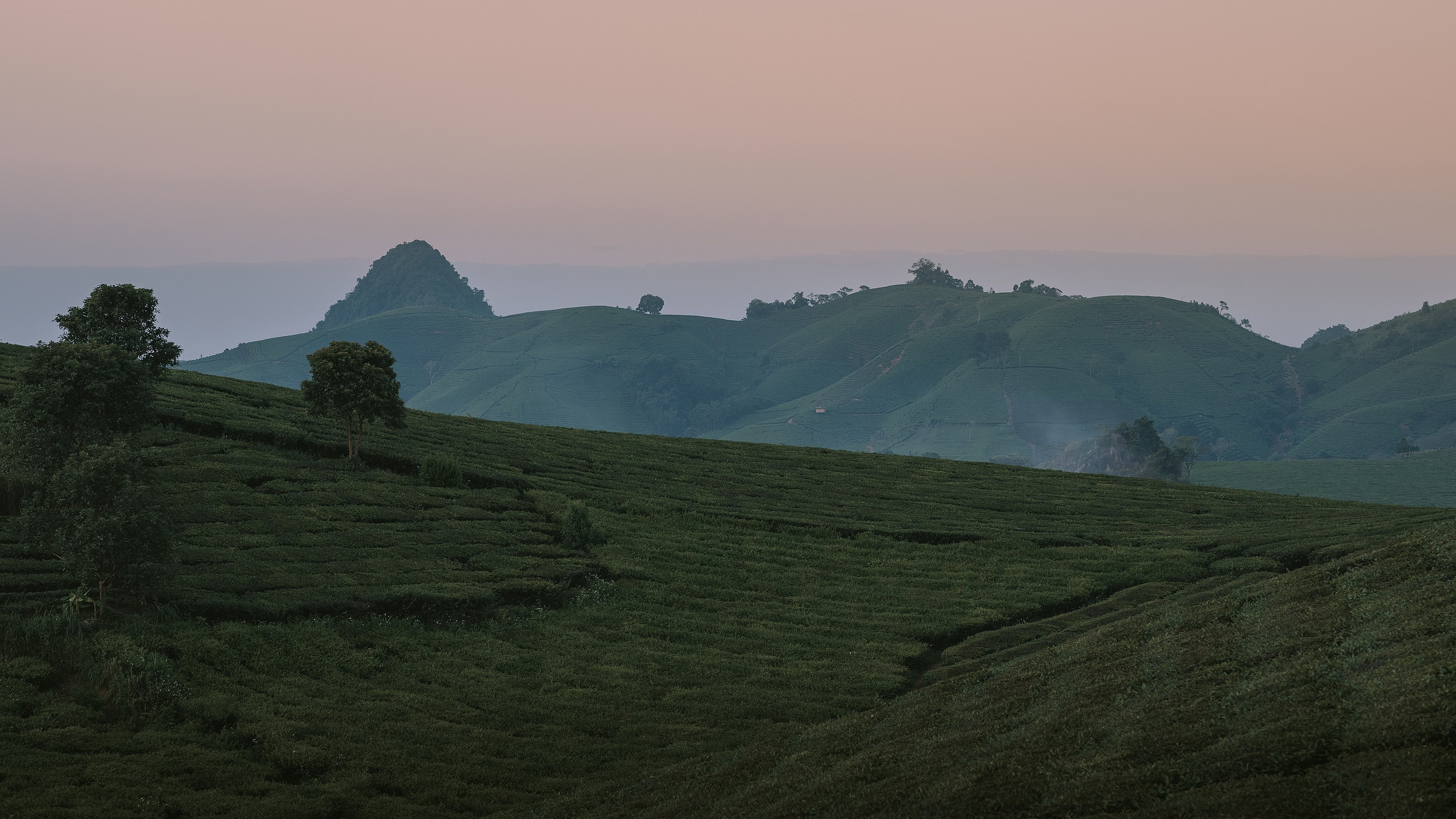 Other. Orunek photo (portrait photographer in Da Nang)