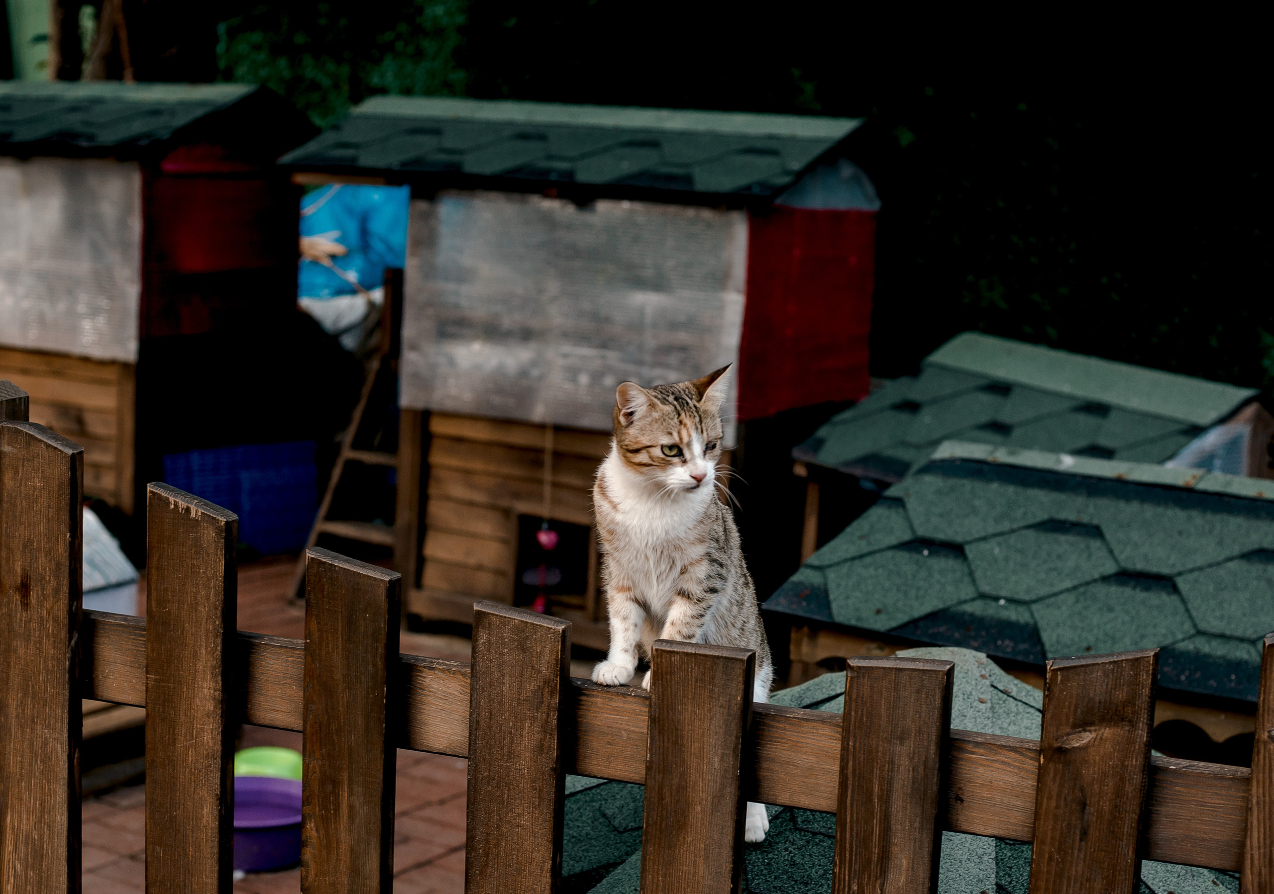 Turkey, Alanya. Art Photographer