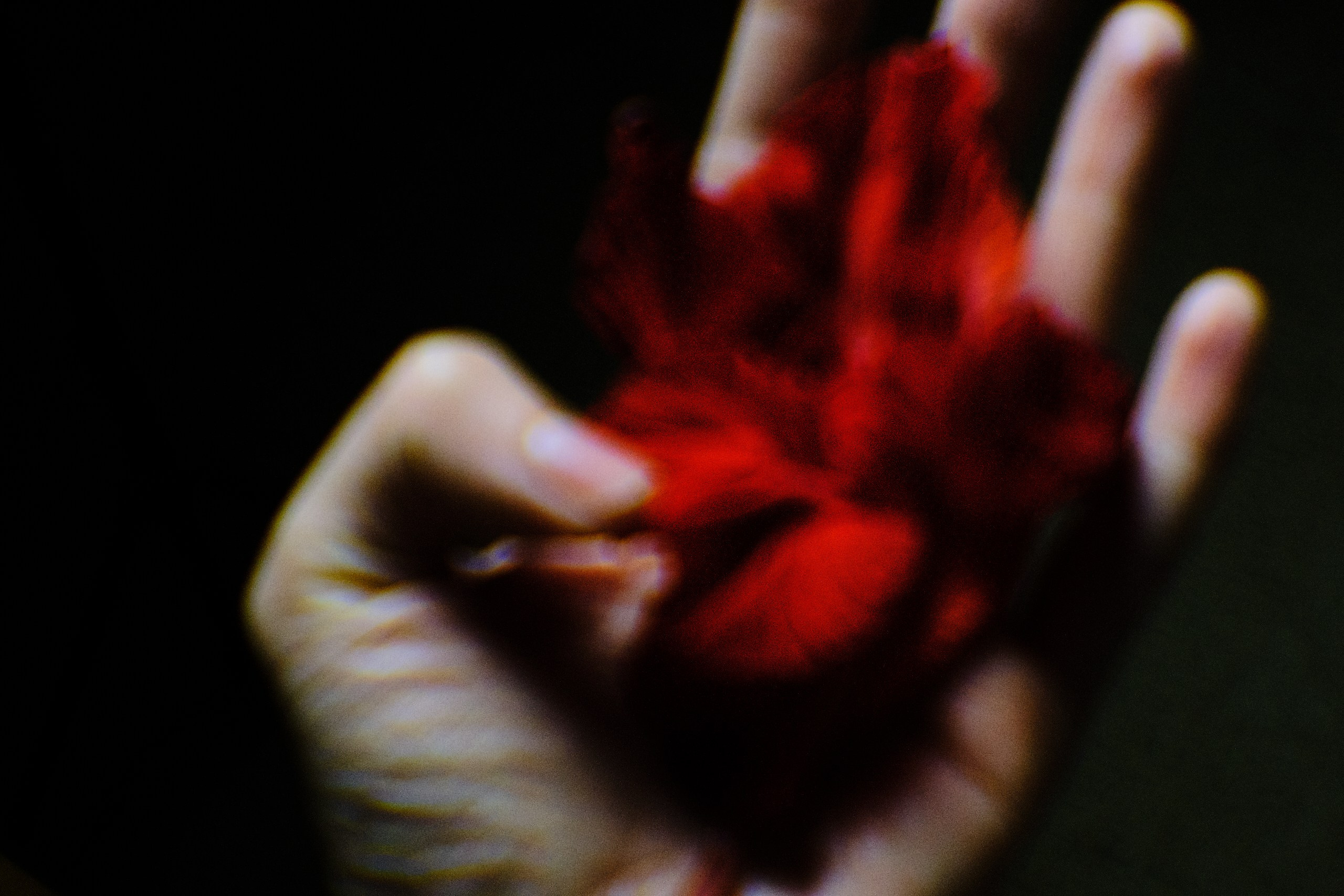 Автопортрет