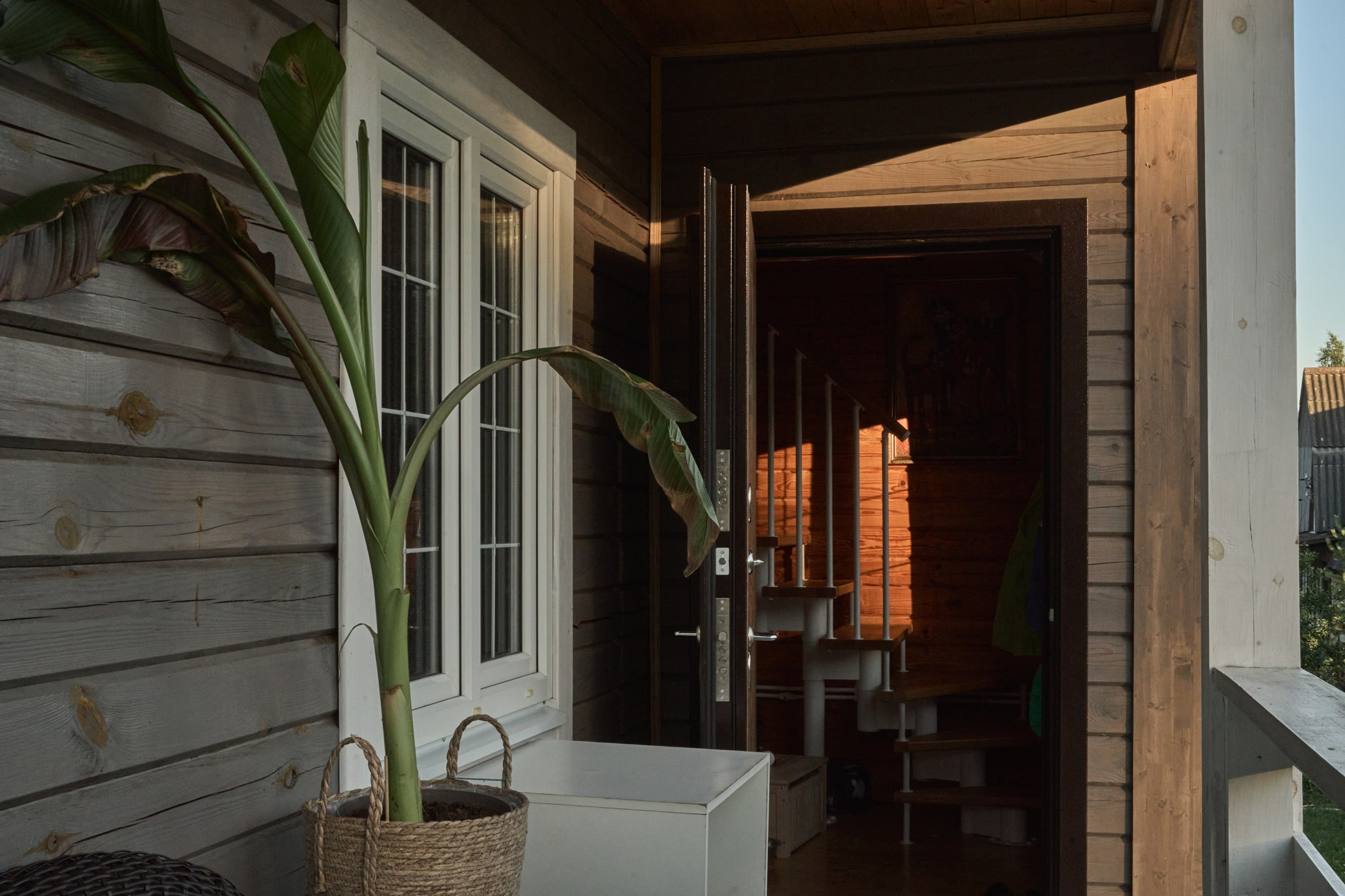 Дачная история в Малиновке. Фотограф Женя Пашкина