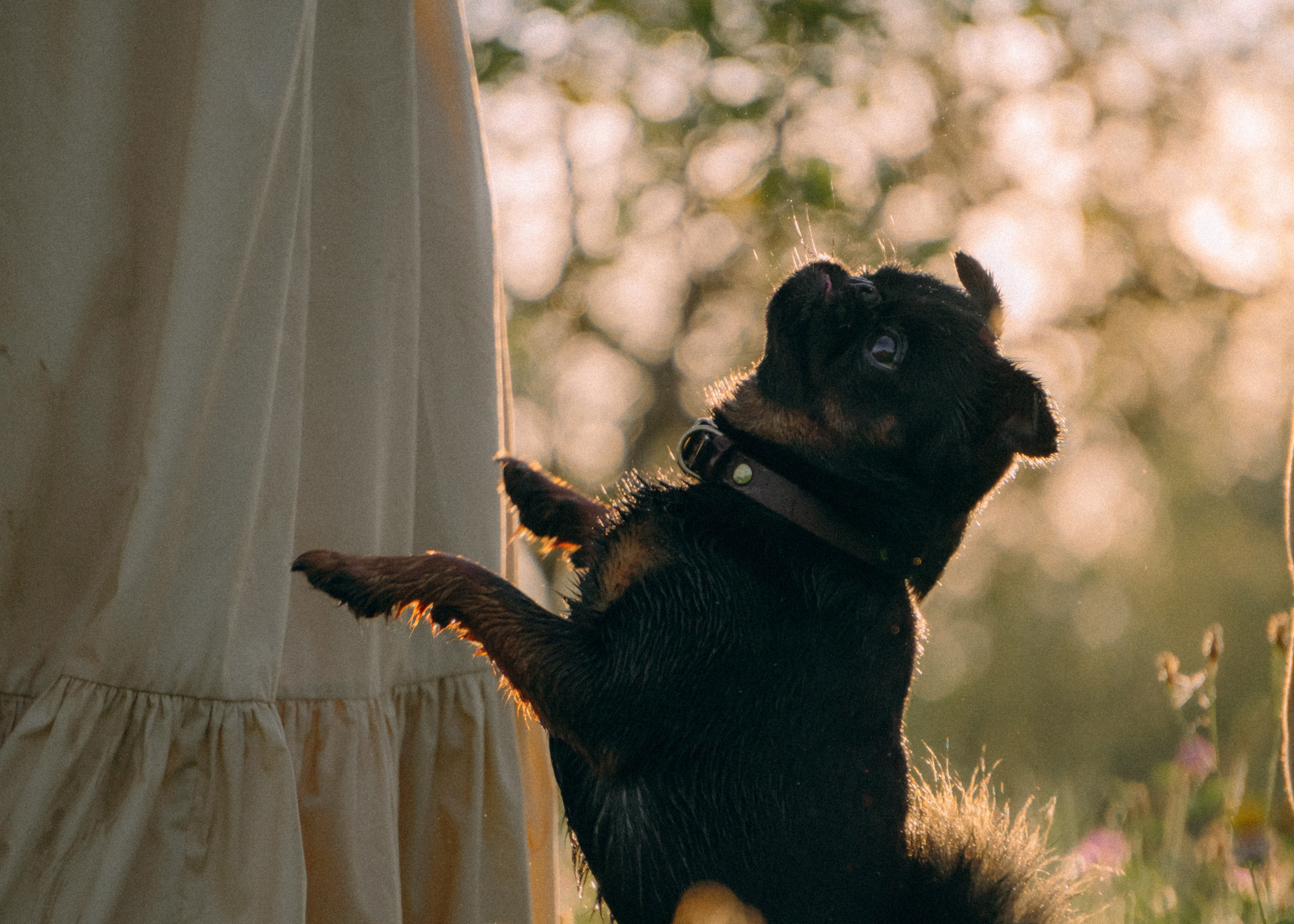 Оксана, Кирилл и Кеша. Фотограф-анималист Ксения Воробьева, Москва