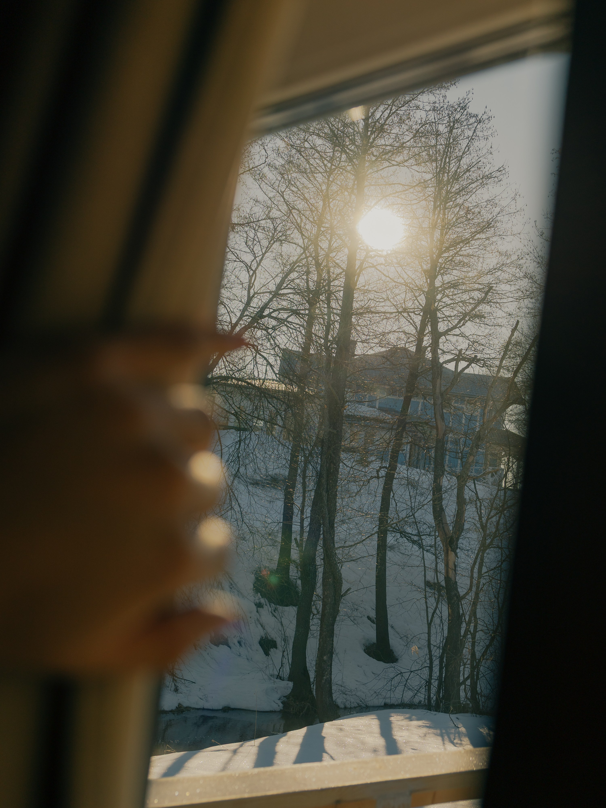 «Bolotov Dacha». Фотограф Павел Краснов