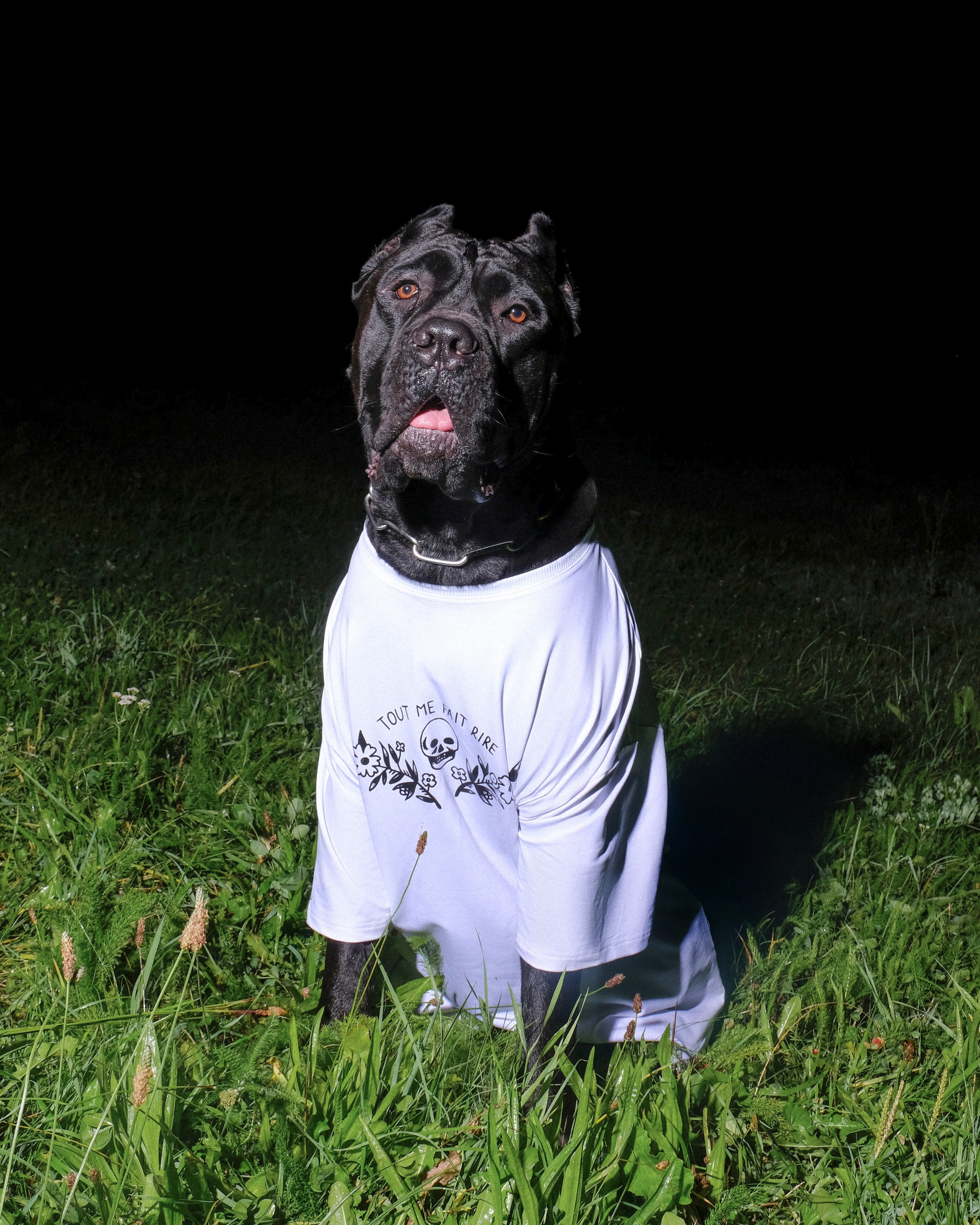 Creepy Crawl. Креативный продюсер / сет—дизайнер