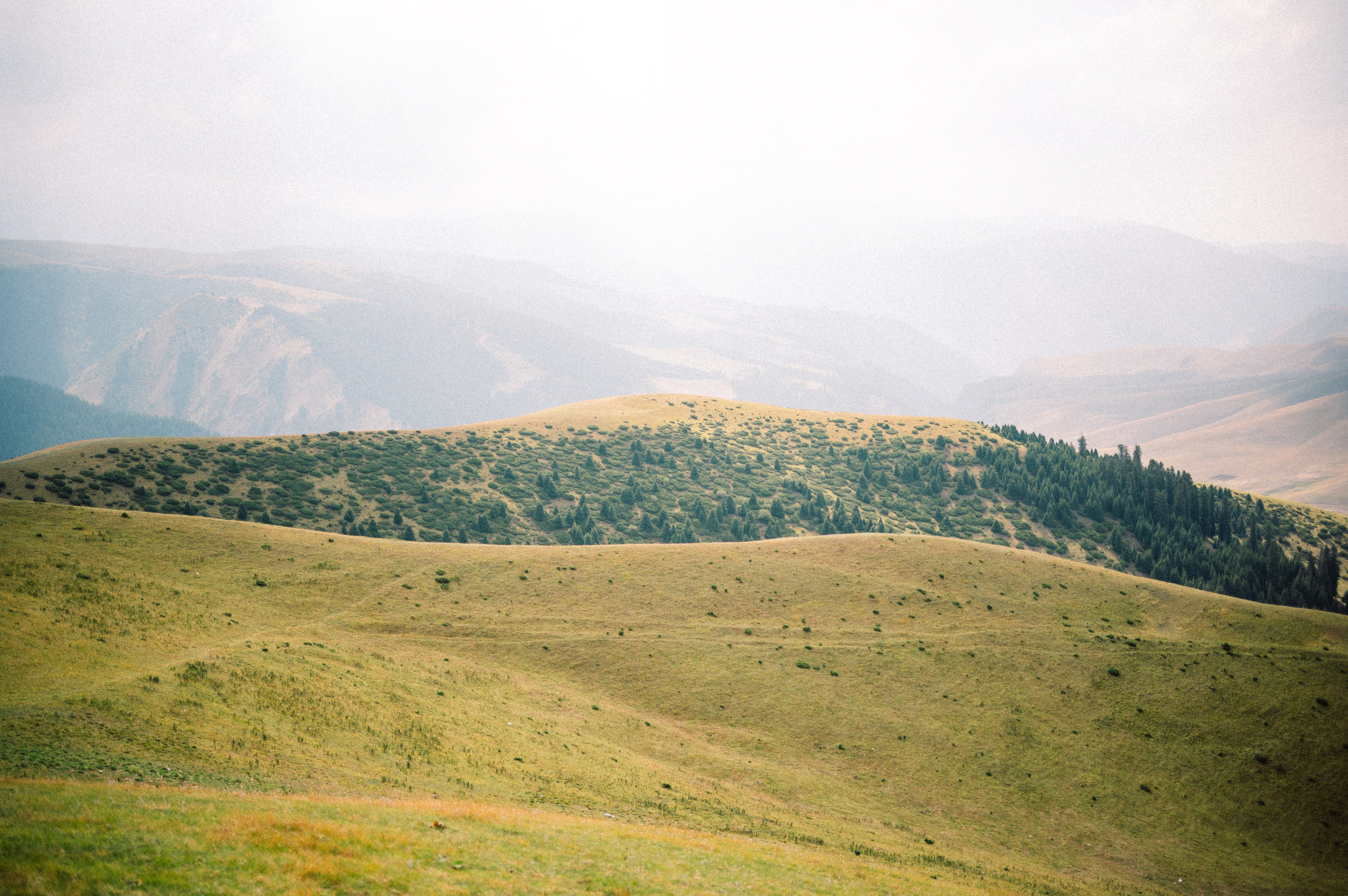 Плато Ассы: июль 2025. Фотограф в Алматы — Дарья Фёдорова