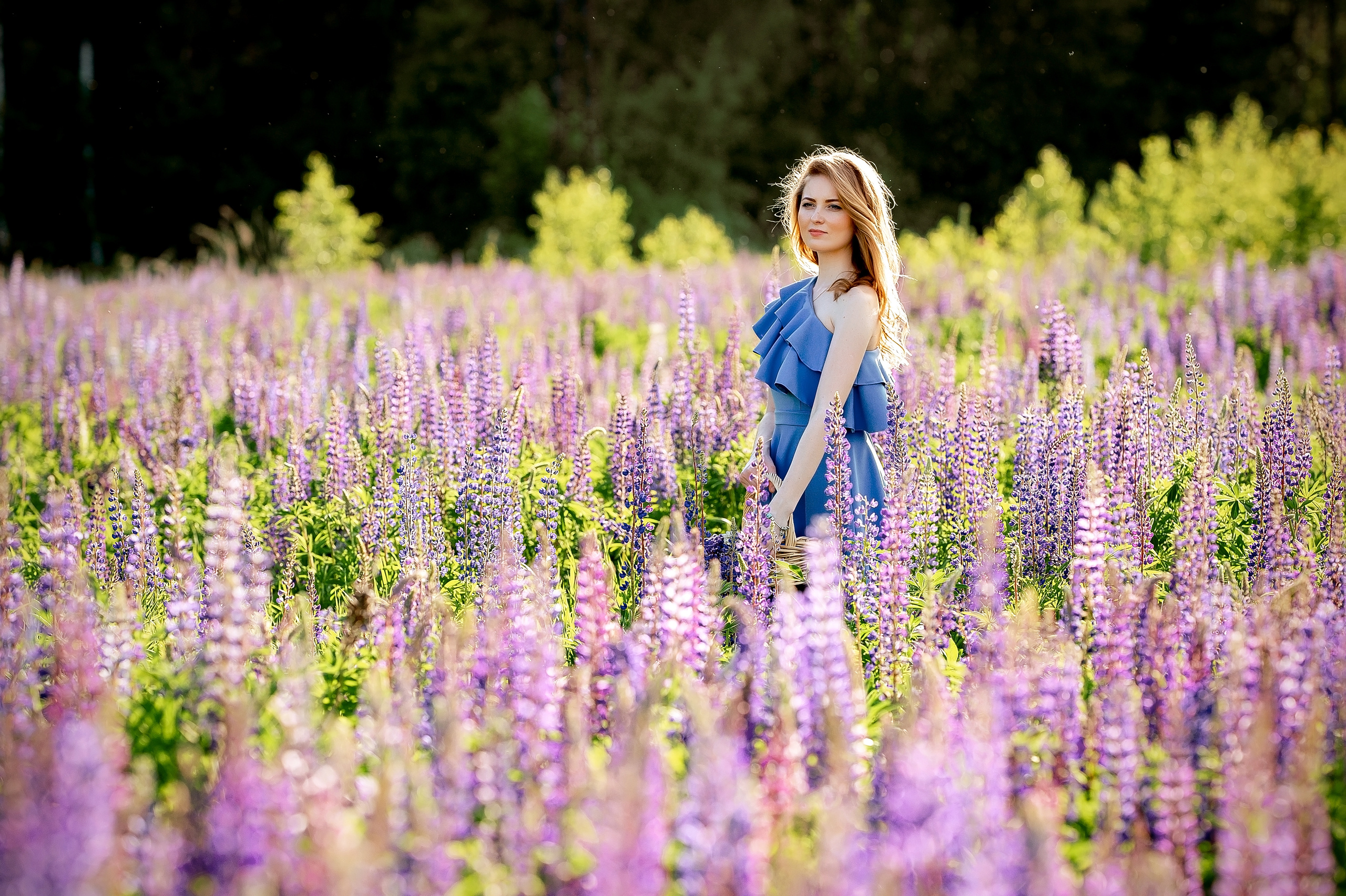 Фотосессия в люпиновом поле в Щелково. Свадебный и семейный фотограф Виктория Носачёва. Щелково, Москва и МО