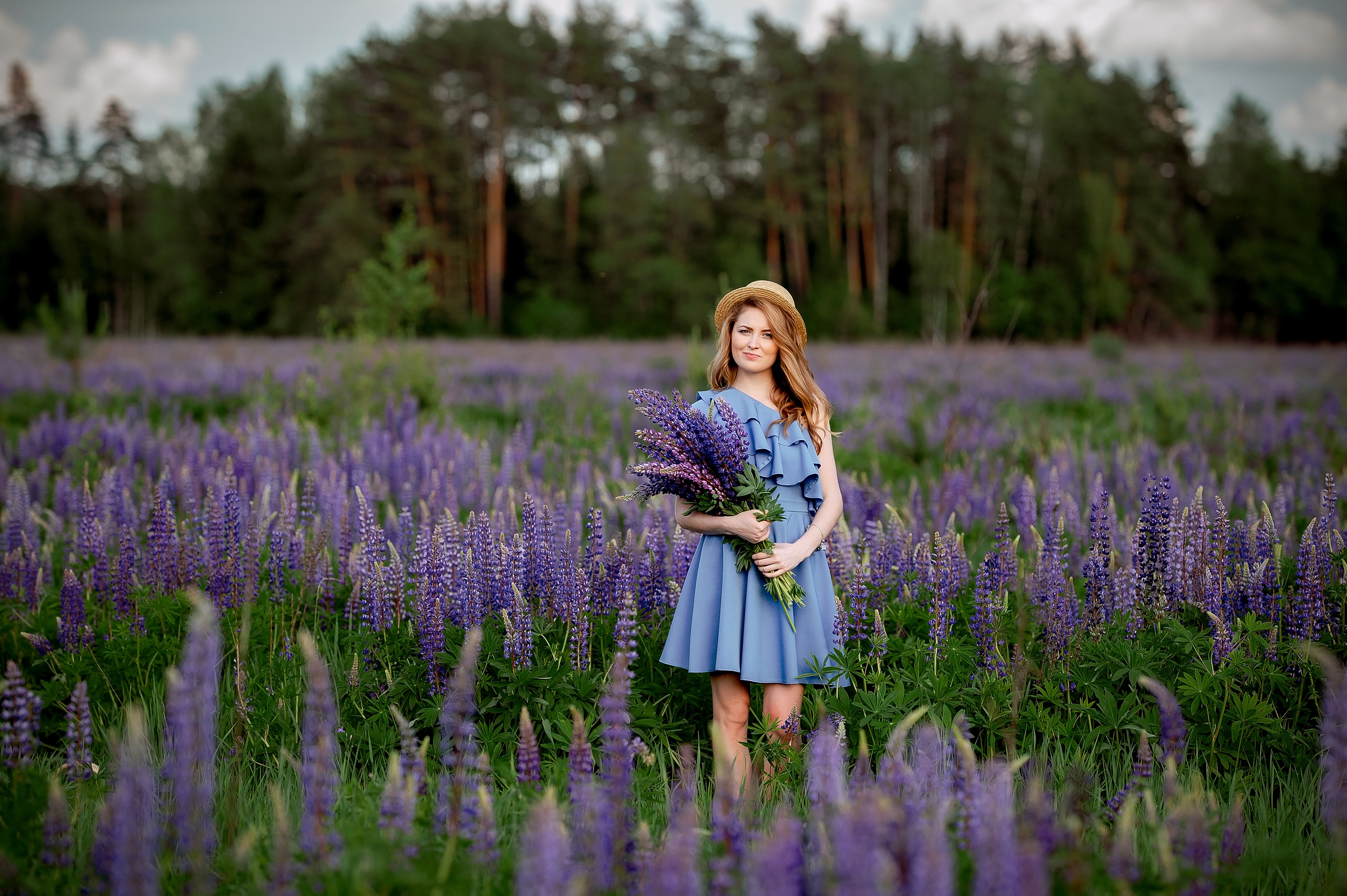 фотосессия в люпиновом поле подмосковье