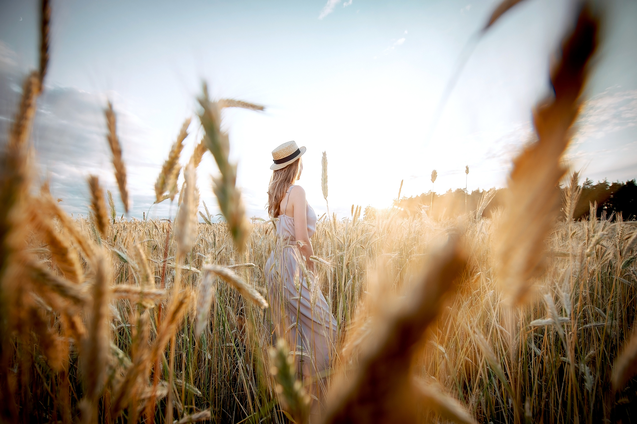 Фотосессия в пшеничном поле в Щелково. Свадебный и семейный фотограф Виктория Носачёва. Щелково, Москва и МО