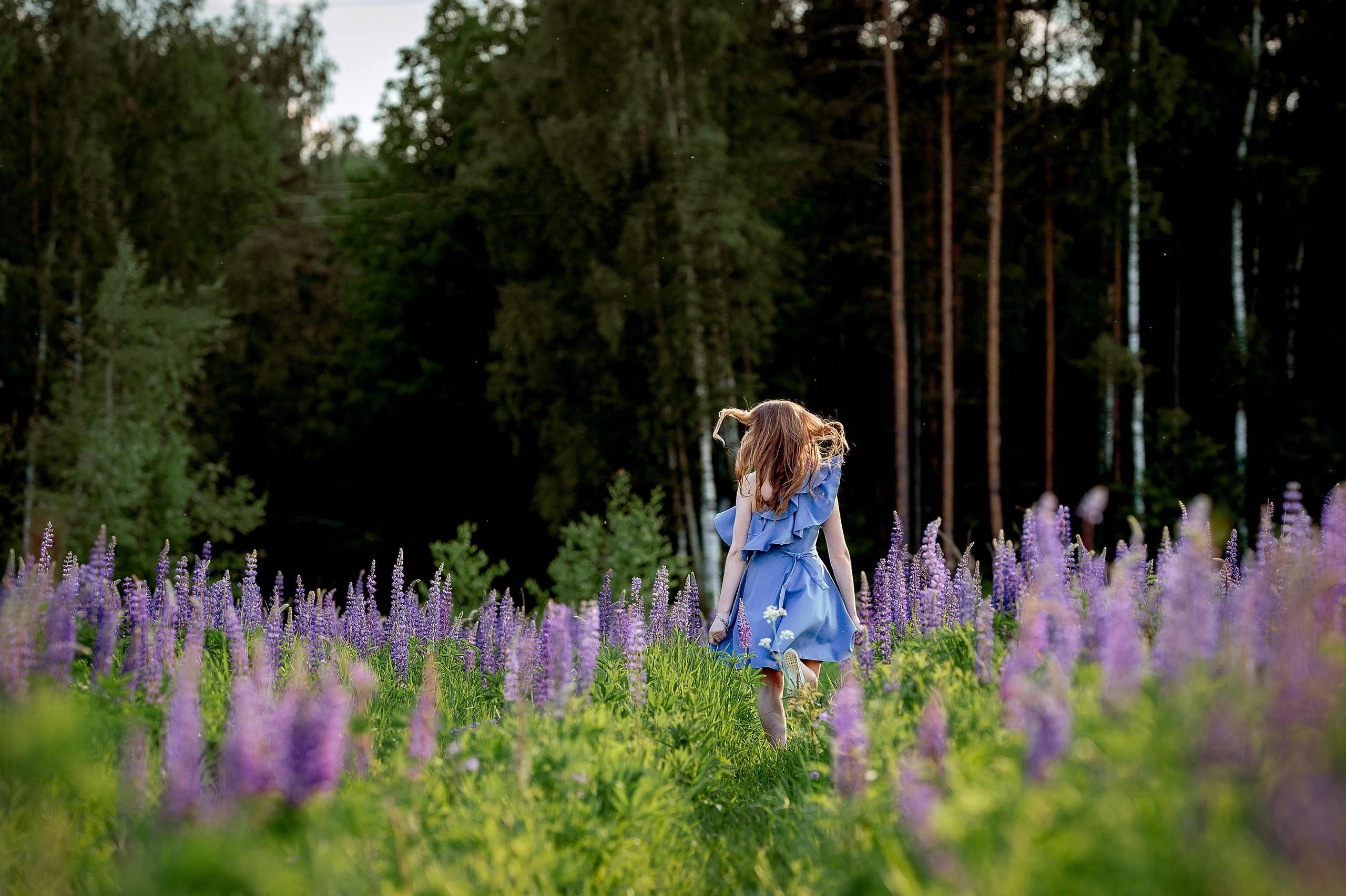 Фотосессия в люпиновом поле в Щелково. Свадебный и семейный фотограф Виктория Носачёва. Щелково, Москва и МО