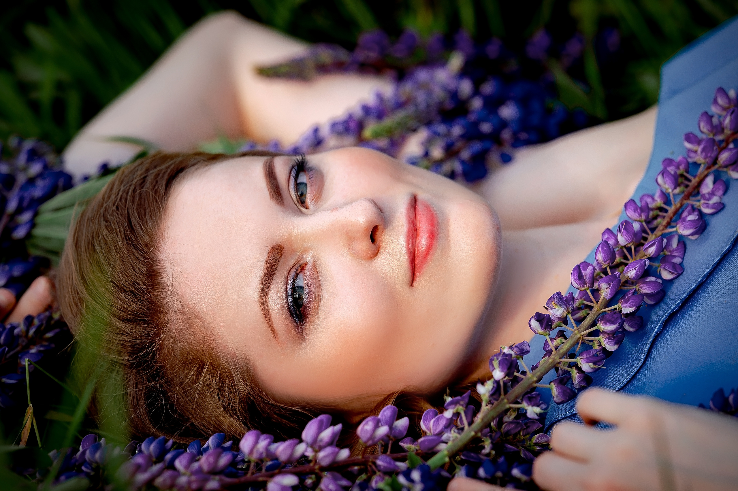 люпины щелково фотограф