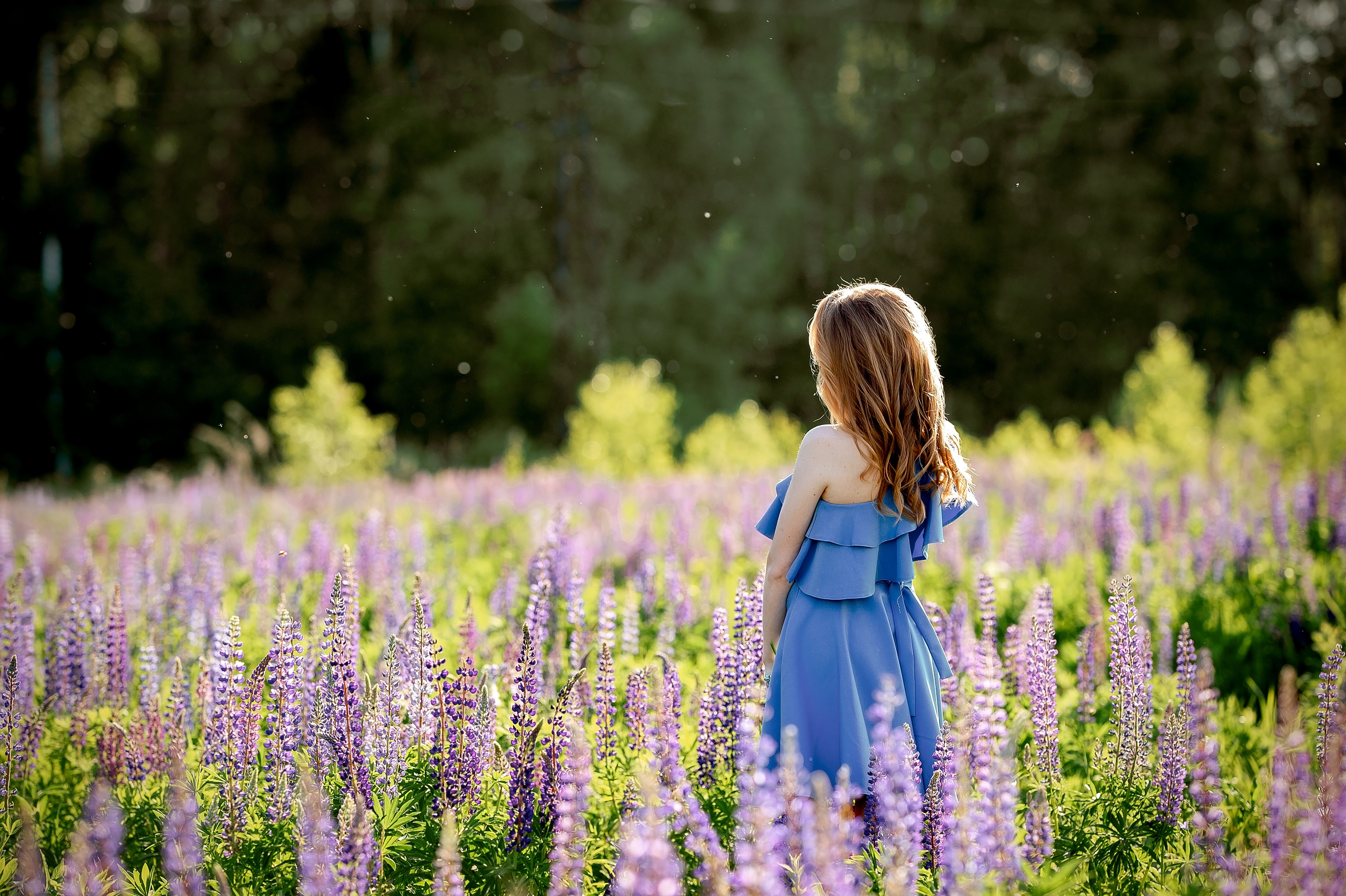 Фотосессия в люпиновом поле в Щелково. Свадебный и семейный фотограф Виктория Носачёва. Щелково, Москва и МО