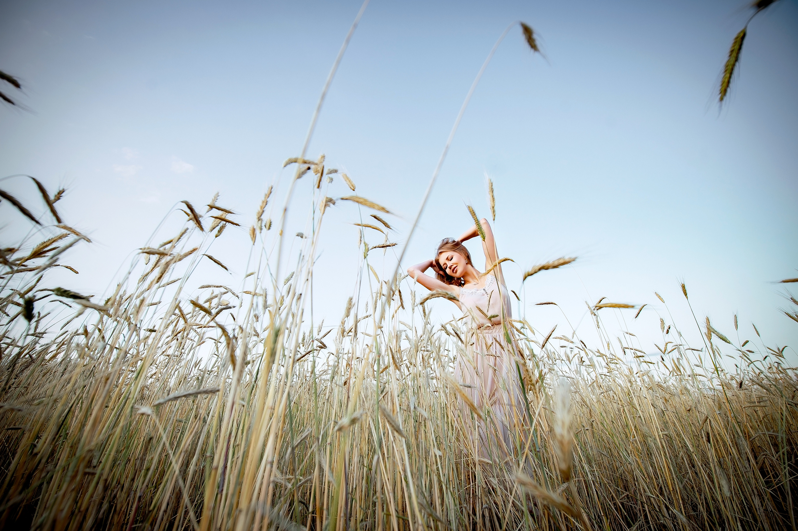 пшеничное поле щелково