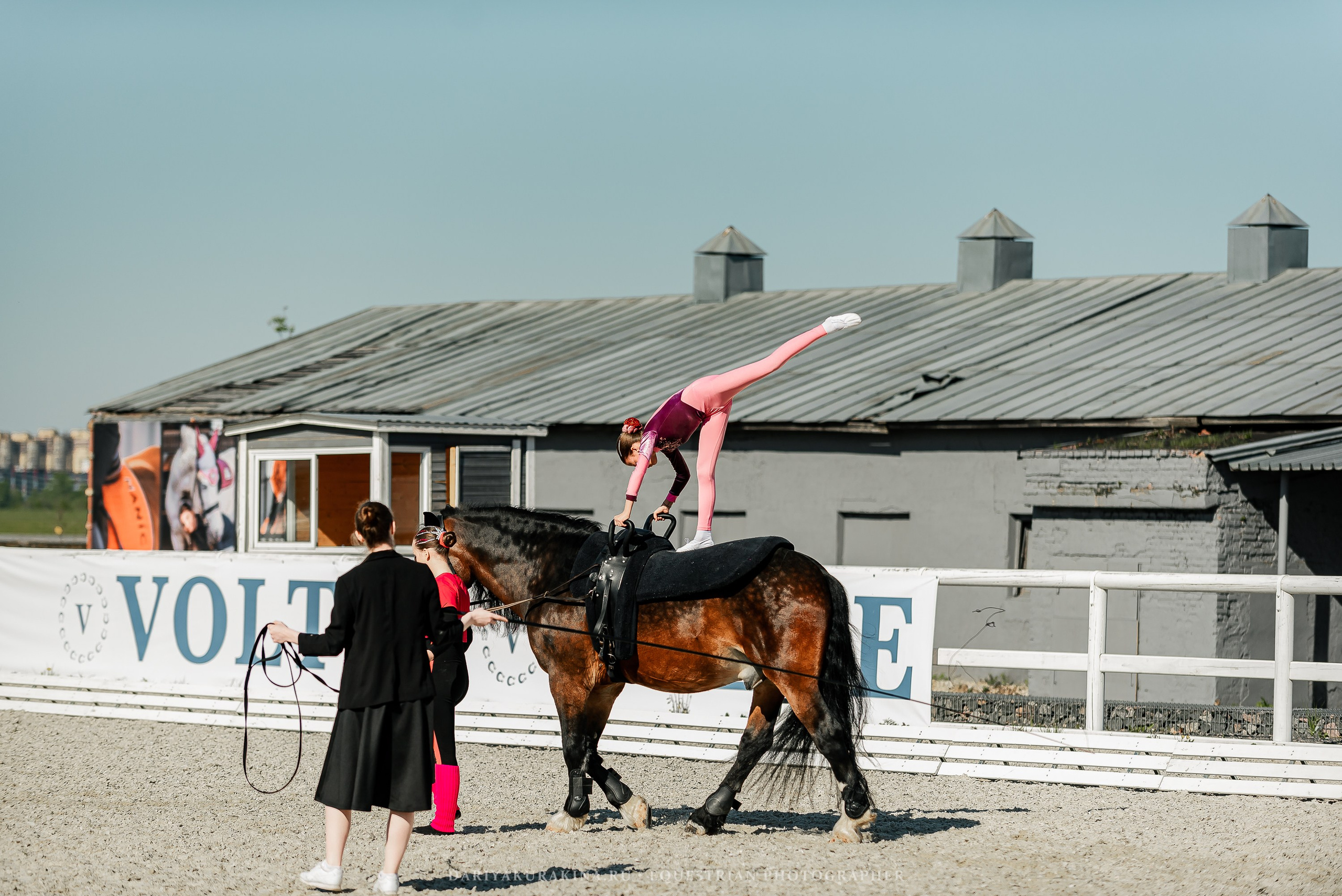 РЕПОРТАЖ МКК ВОЛЬТ «LA TULIPS». Конный фотограф Куракина Дарья • Фотосессии с лошадьми