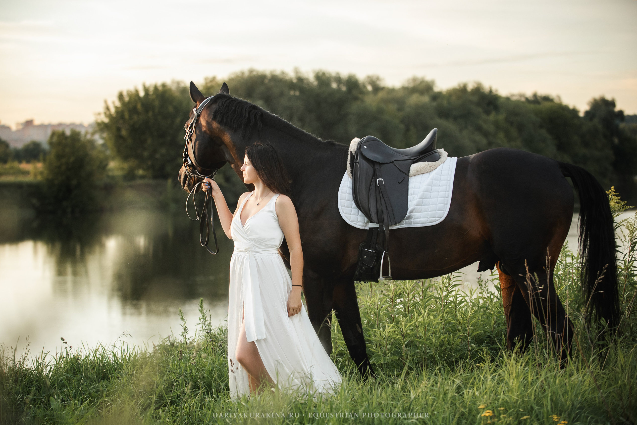 Юля и Декупаж — Поле. Конный фотограф Куракина Дарья • Фотосессии с лошадьми