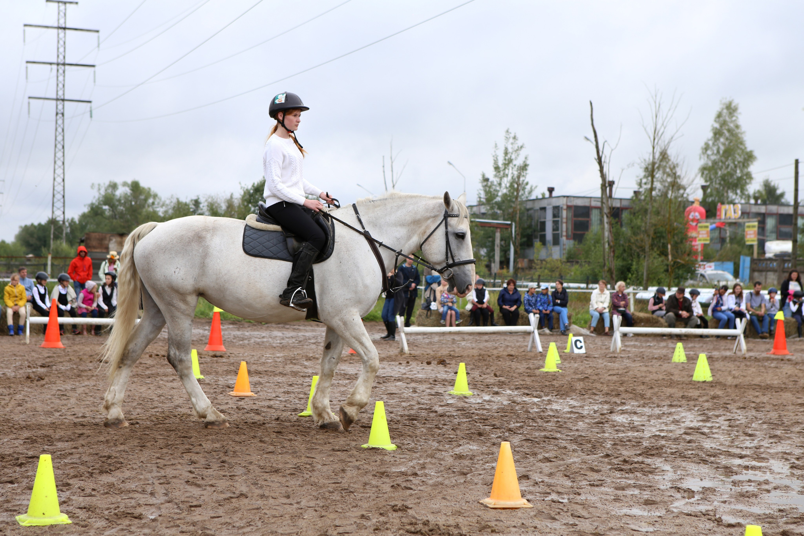 Наша жизнь. КСК Тагир