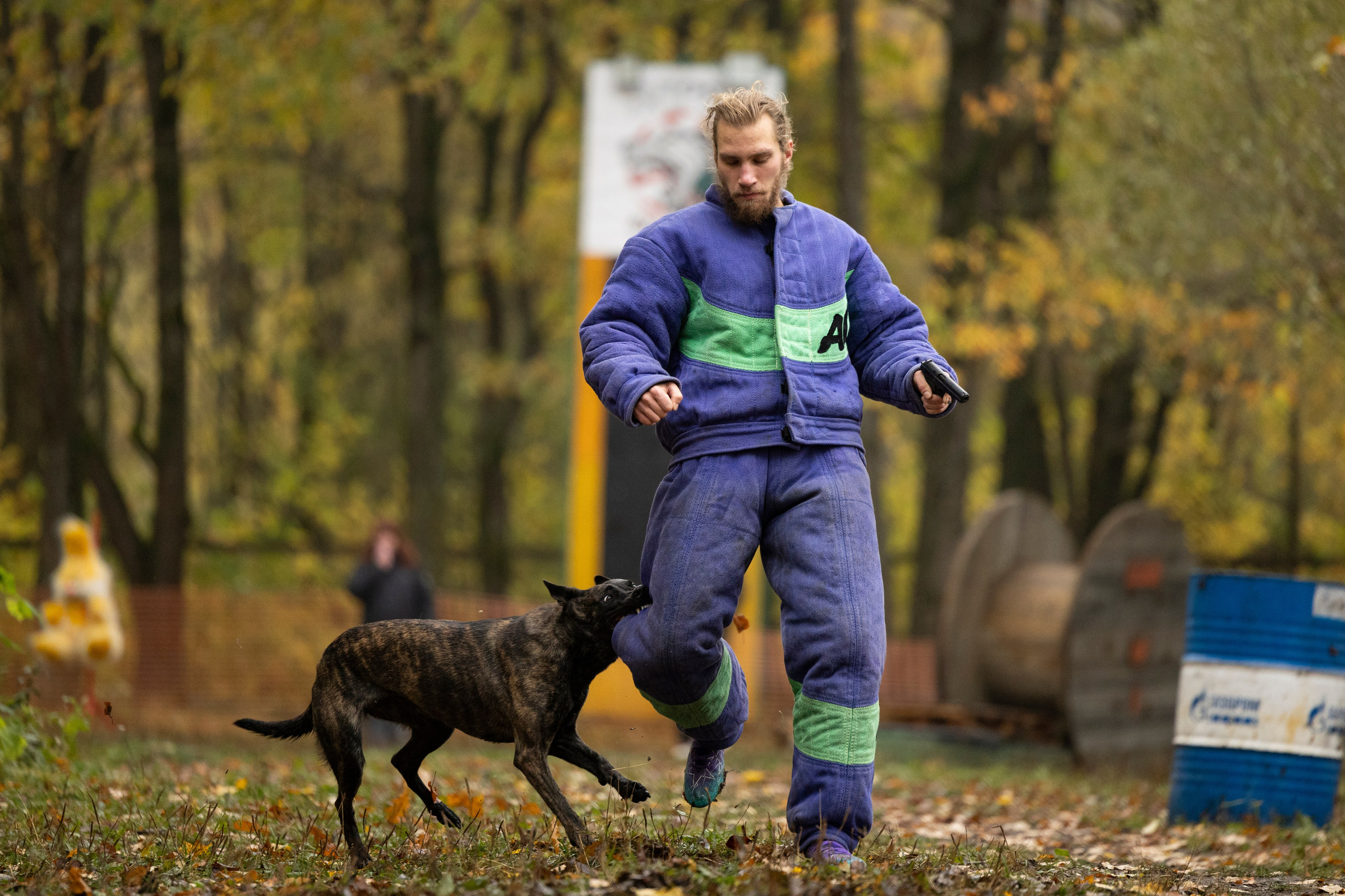 Соревнования по Мондьорингу г. Вологда. Фотограф-анималист Анна Маринич