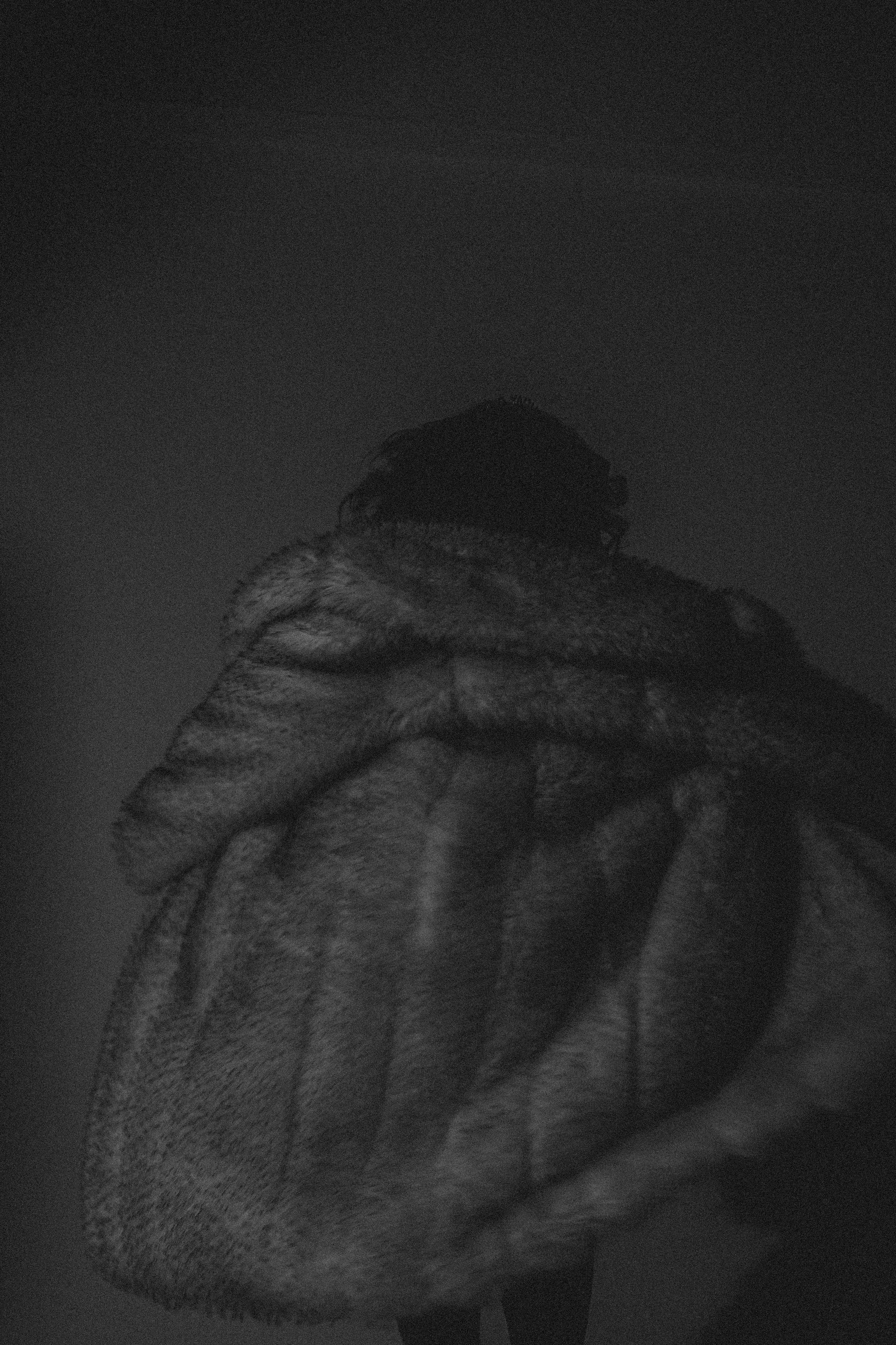 История ко дню рождения. Профессиональный фотограф, Санкт-Петербург — Виктория Богомолова