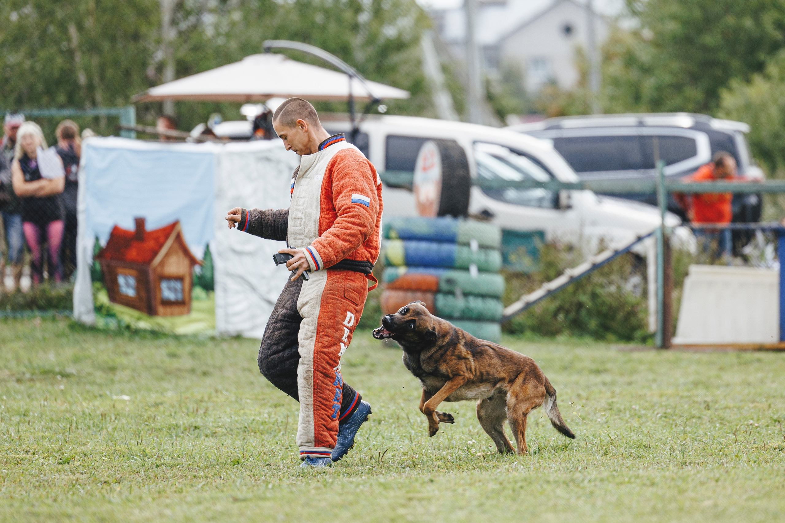 08.08.25-10.08.25 ЧР по мондьорингу г. Вологда. Фотограф-анималист Анна Маринич
