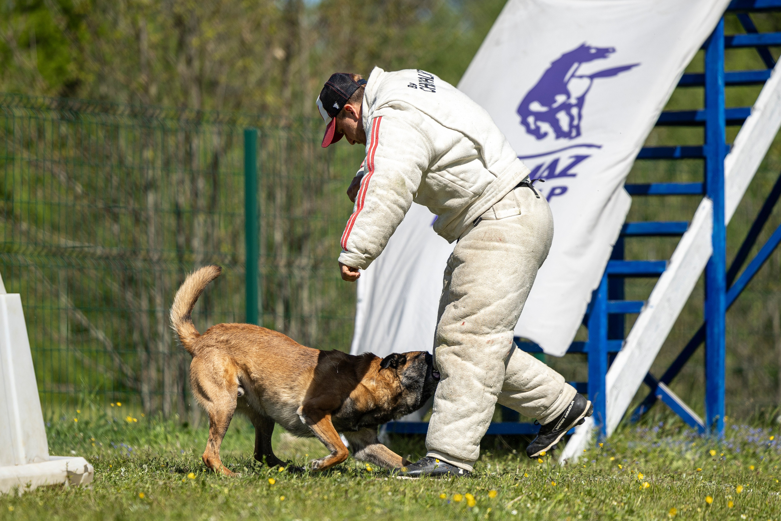Испытания по мондьорингу в Нижнем Новгороде. Фотограф-анималист Анна Маринич