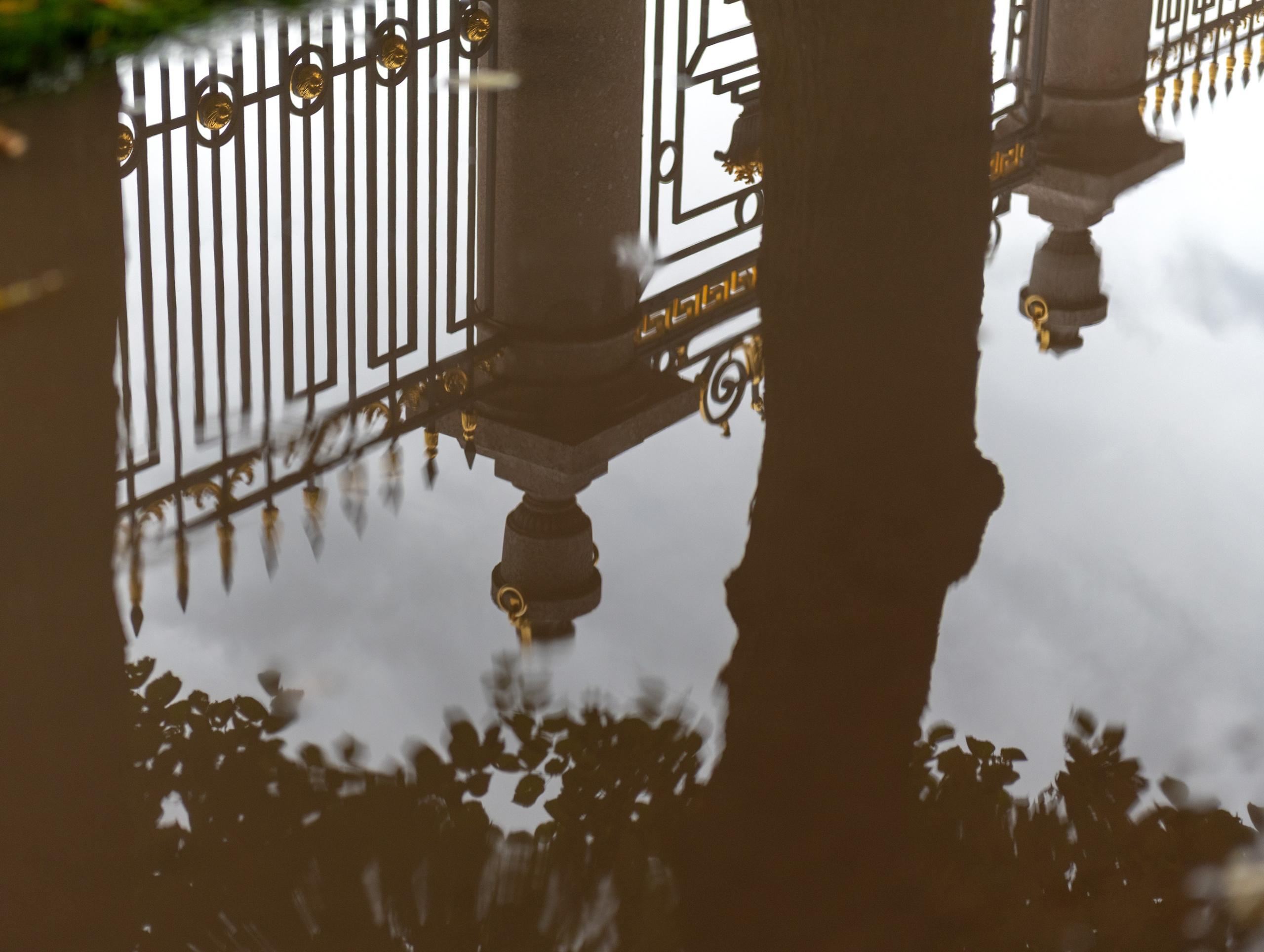 SAINT PETERSBURG. Personal website of photographer Dmitry Raikin