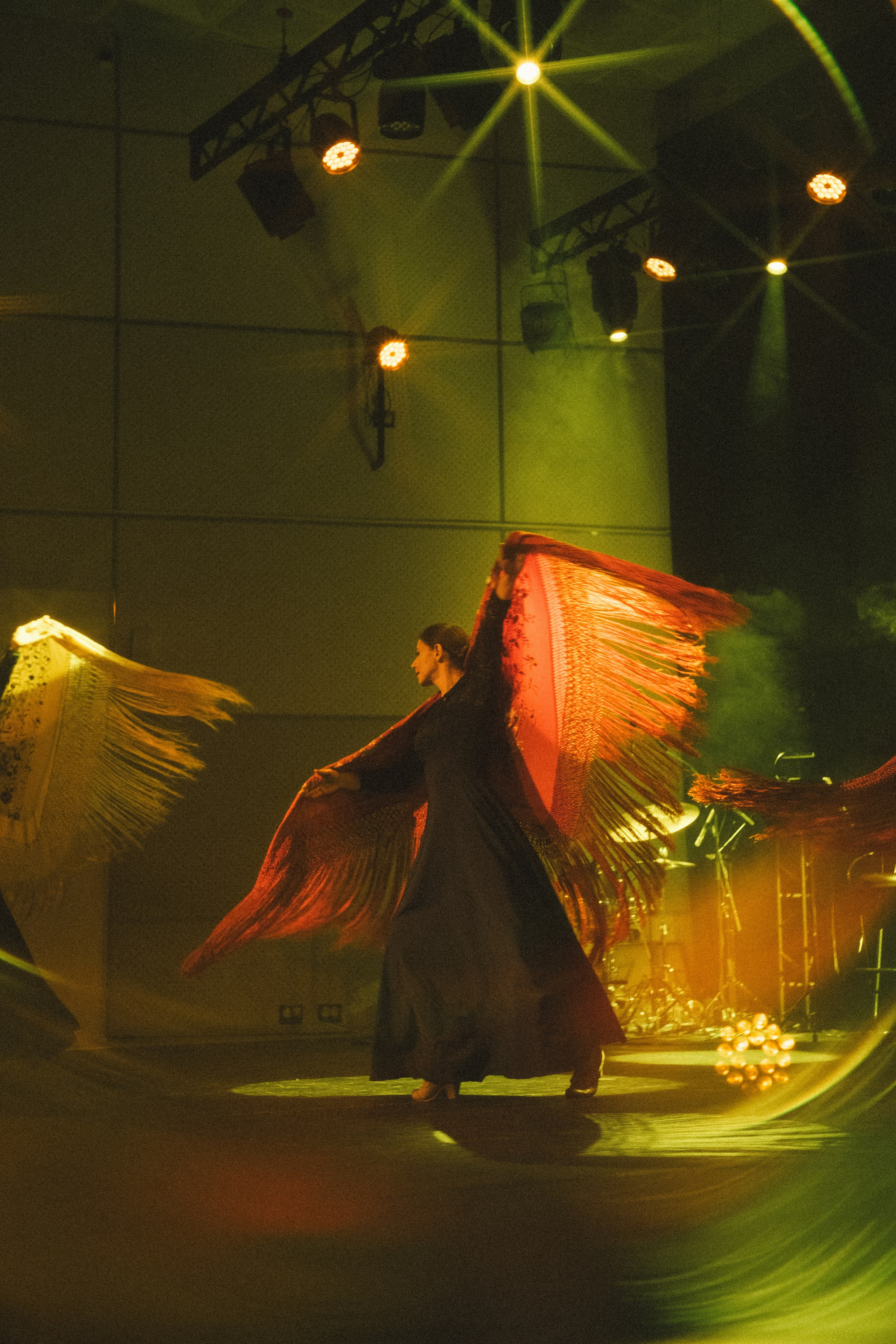 Спектакль «Mujeres» («Женщины»), студия фламенко Tierra del Sol. Анна Демидова — фотография для жизни и бизнеса в Абакане