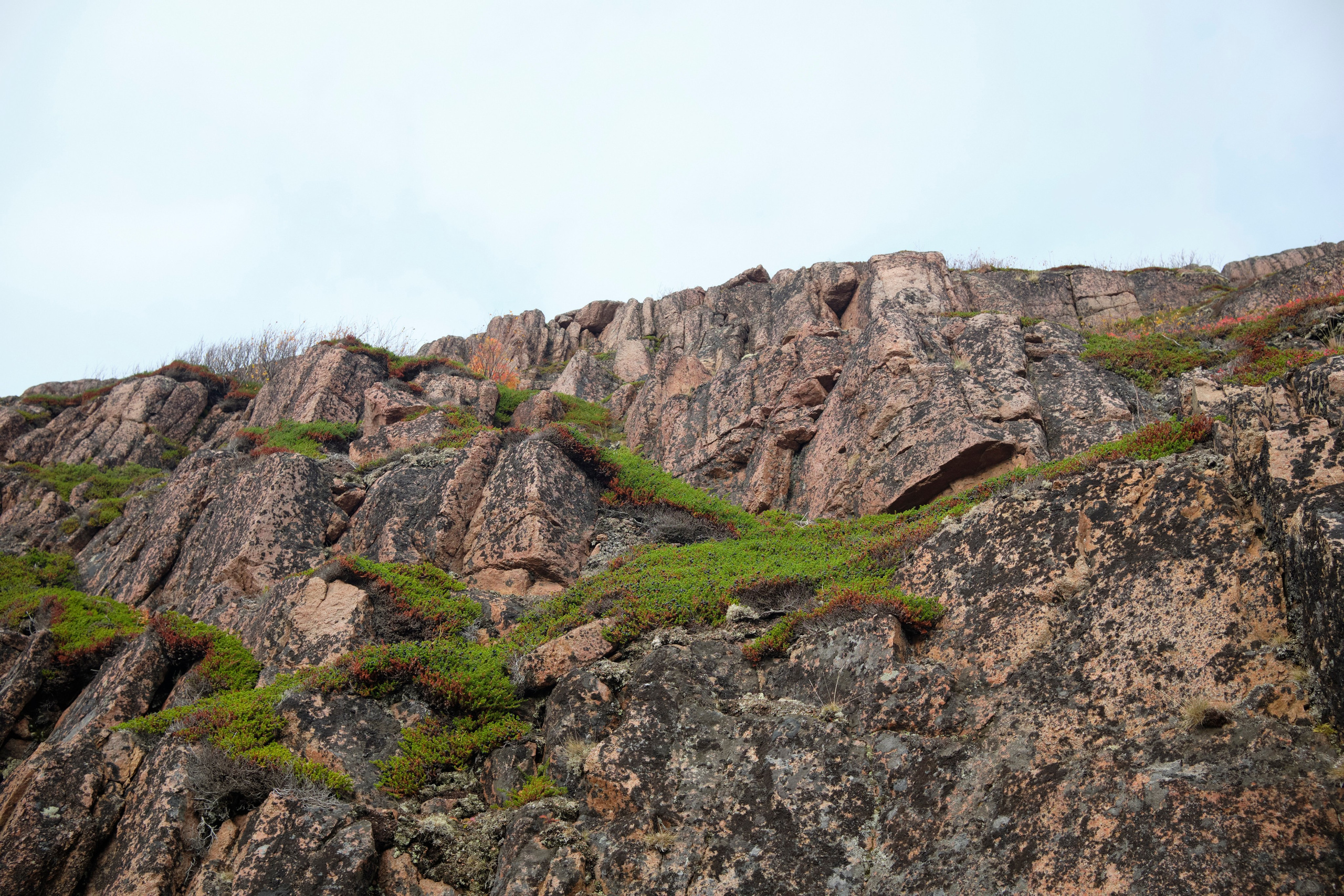 Путешествие в Териберку. Елена Павленко. Фотограф. Москва