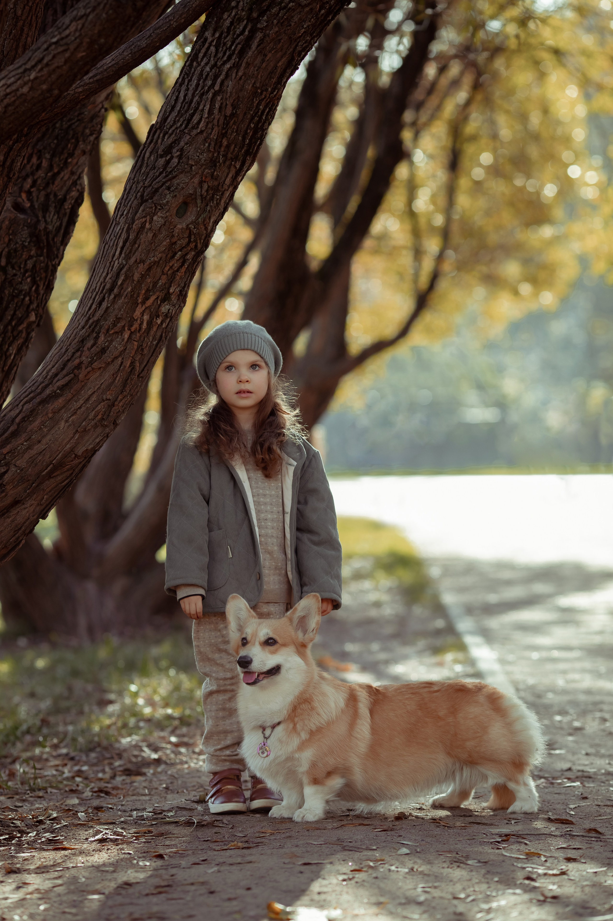 Эва с корги. Семейный и детский фотограф в Москве Дорогова Екатерина