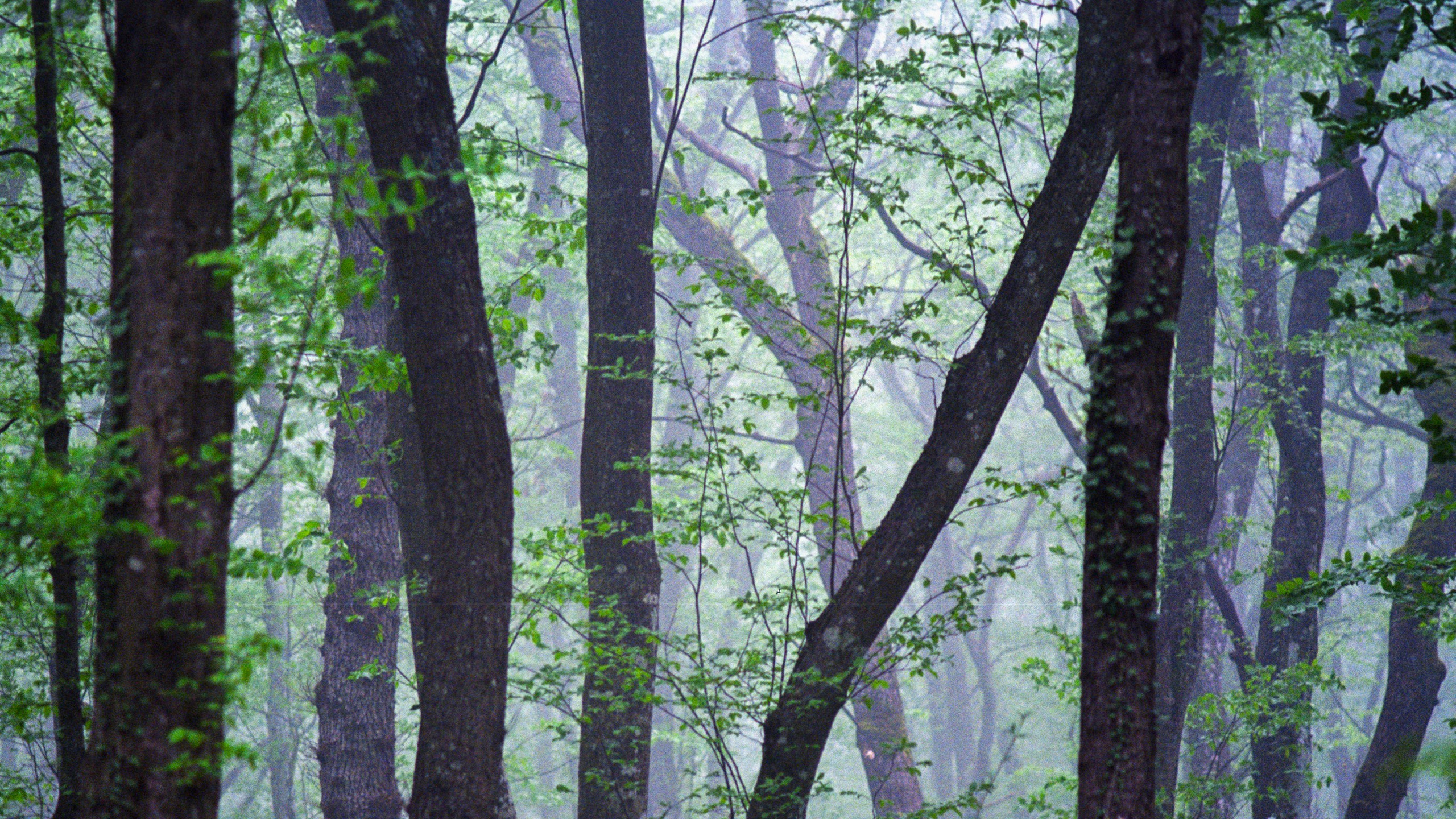 Kodak. Василий Буйлов|Vasilii Builov