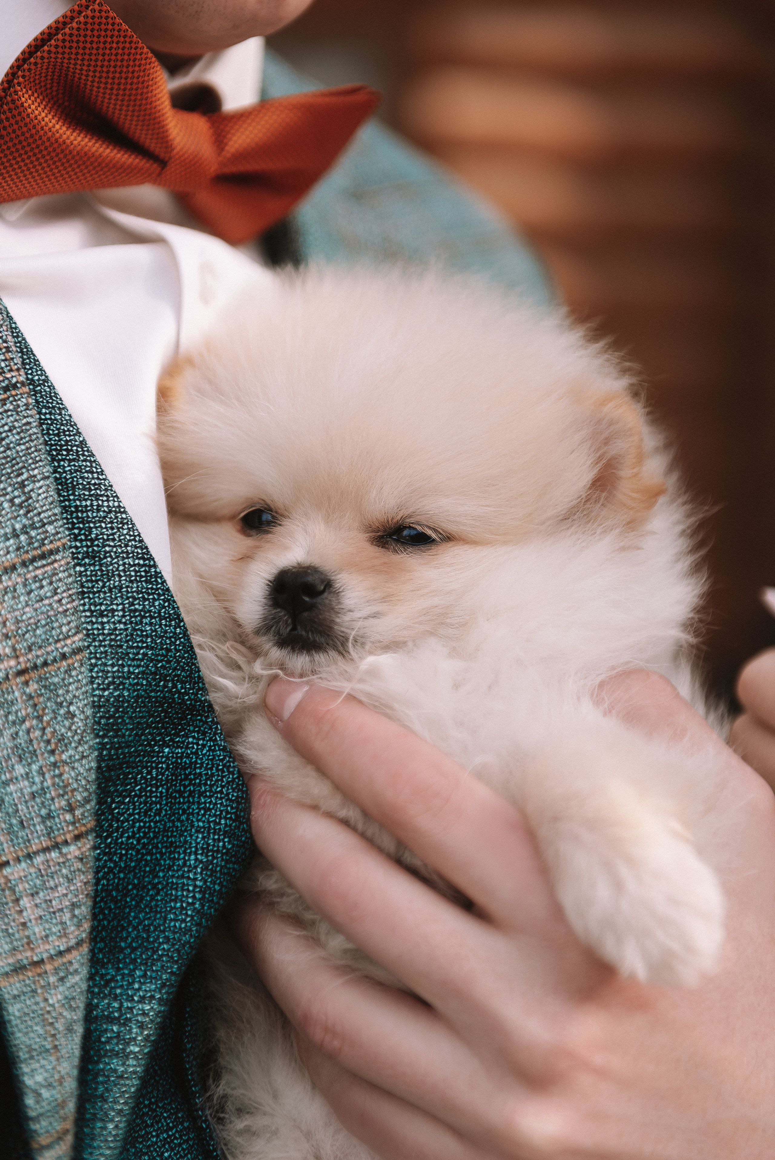 Юля + Саша. Свадебный и семейный фотограф в Волгограде Олеся Лисицкая