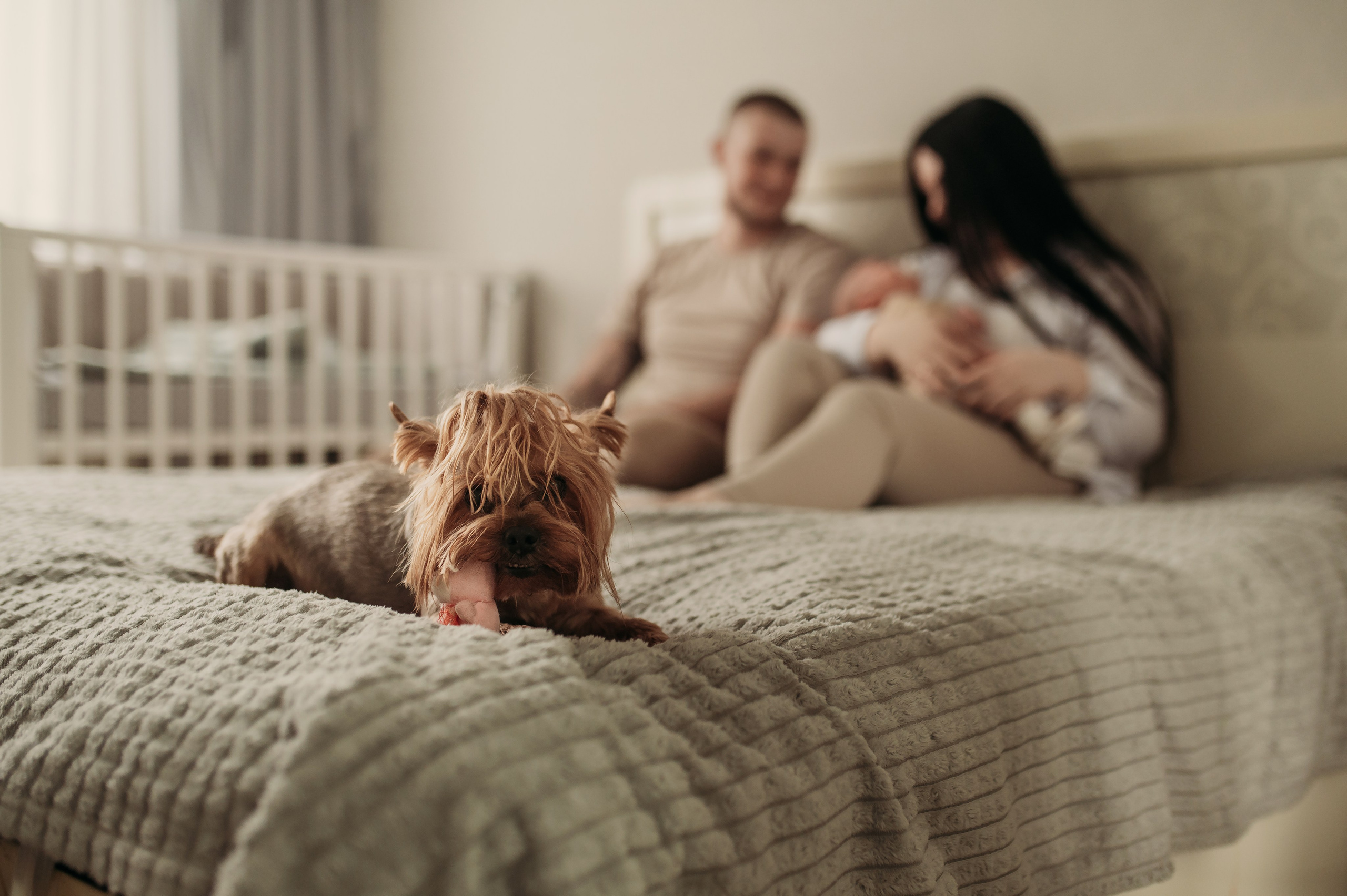 Домашняя история. Семейный фотограф Олеся Батурина Рязань