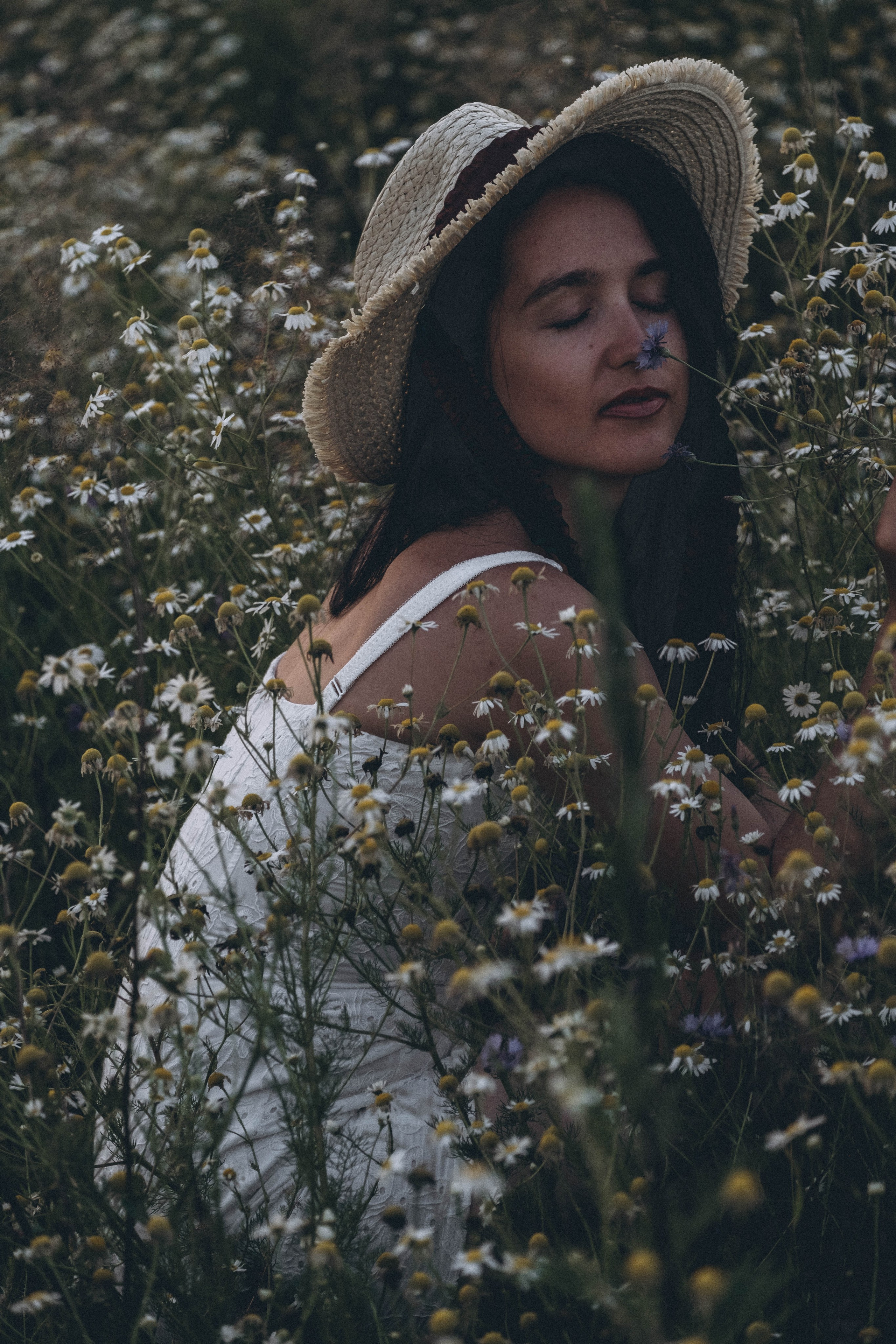 Ромашковое поле. Профессиональный фотограф, Санкт-Петербург — Виктория Богомолова