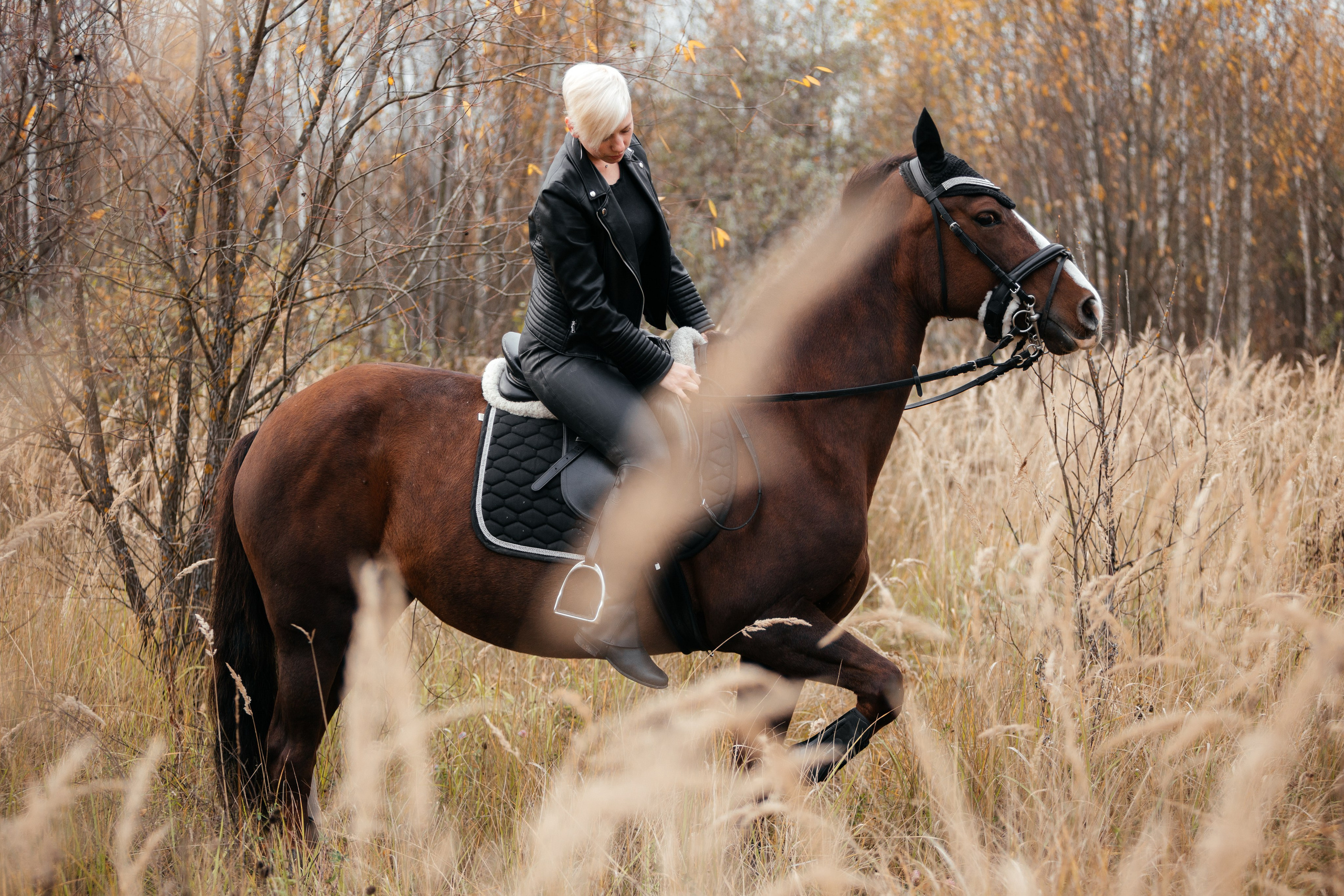 История на конюшне