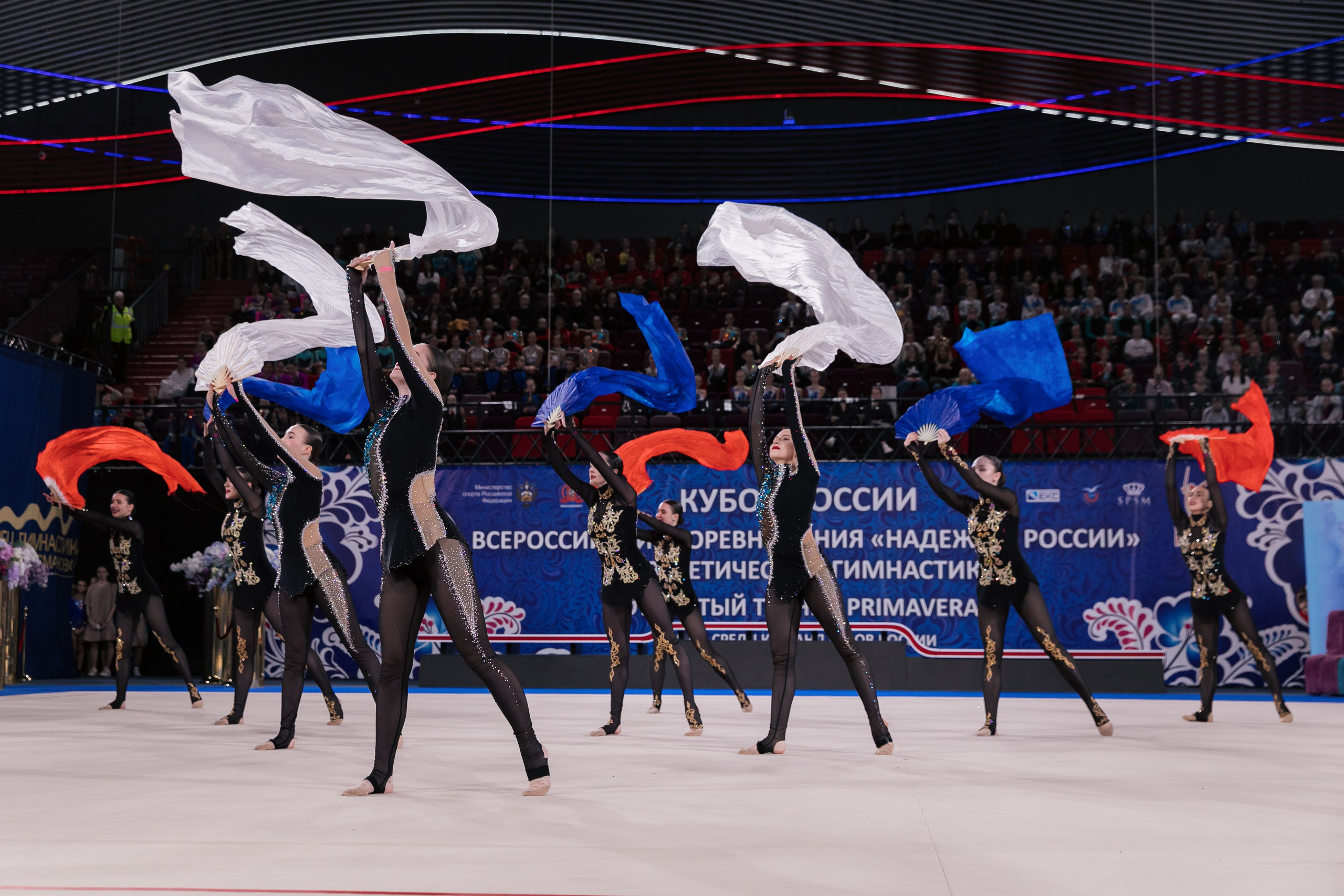 Кубок России по эстетической гимнастике 2025. Москва. Спортивный фотограф Александр Васильев. RG и AGG