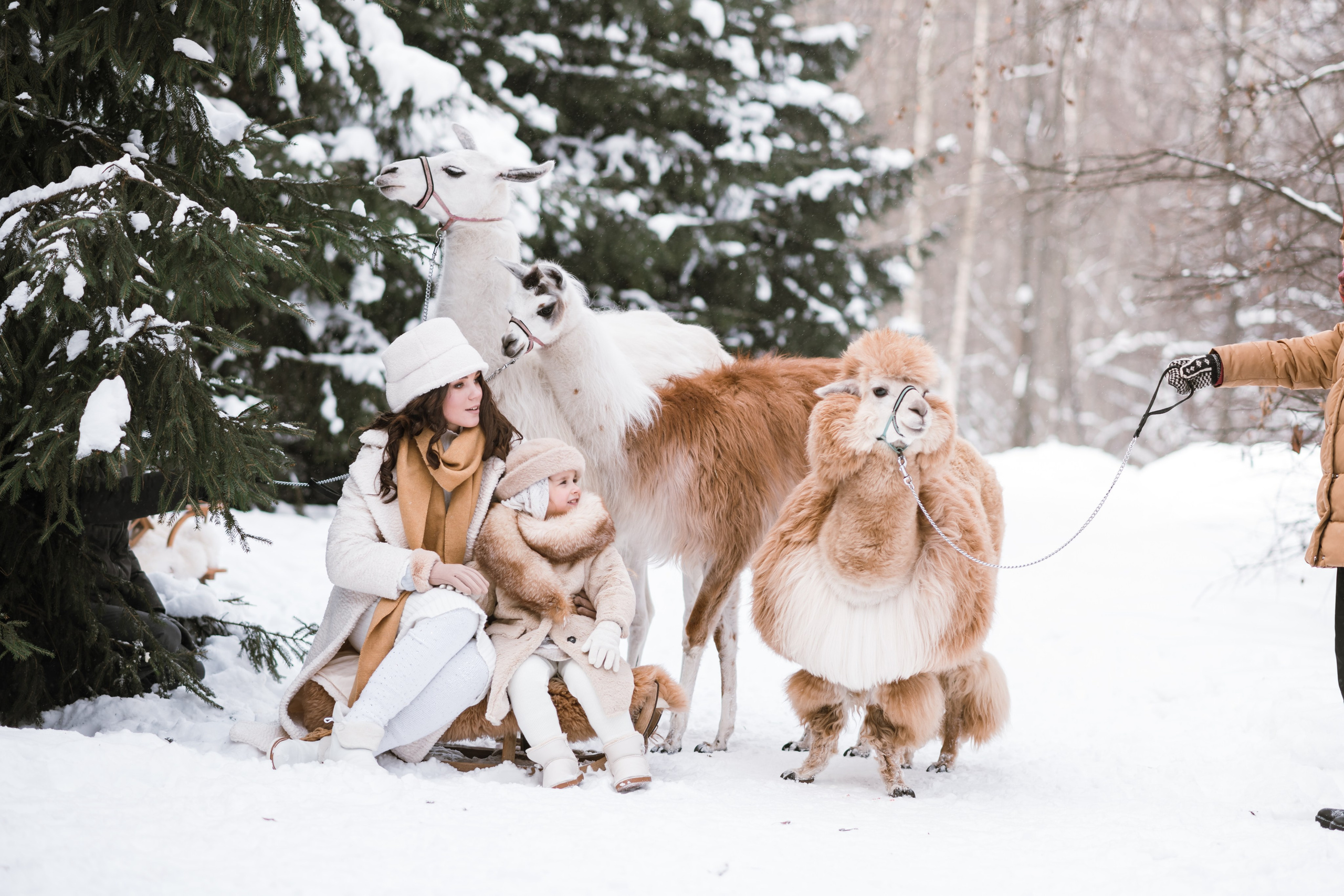Winter. Семейный и контент фотограф