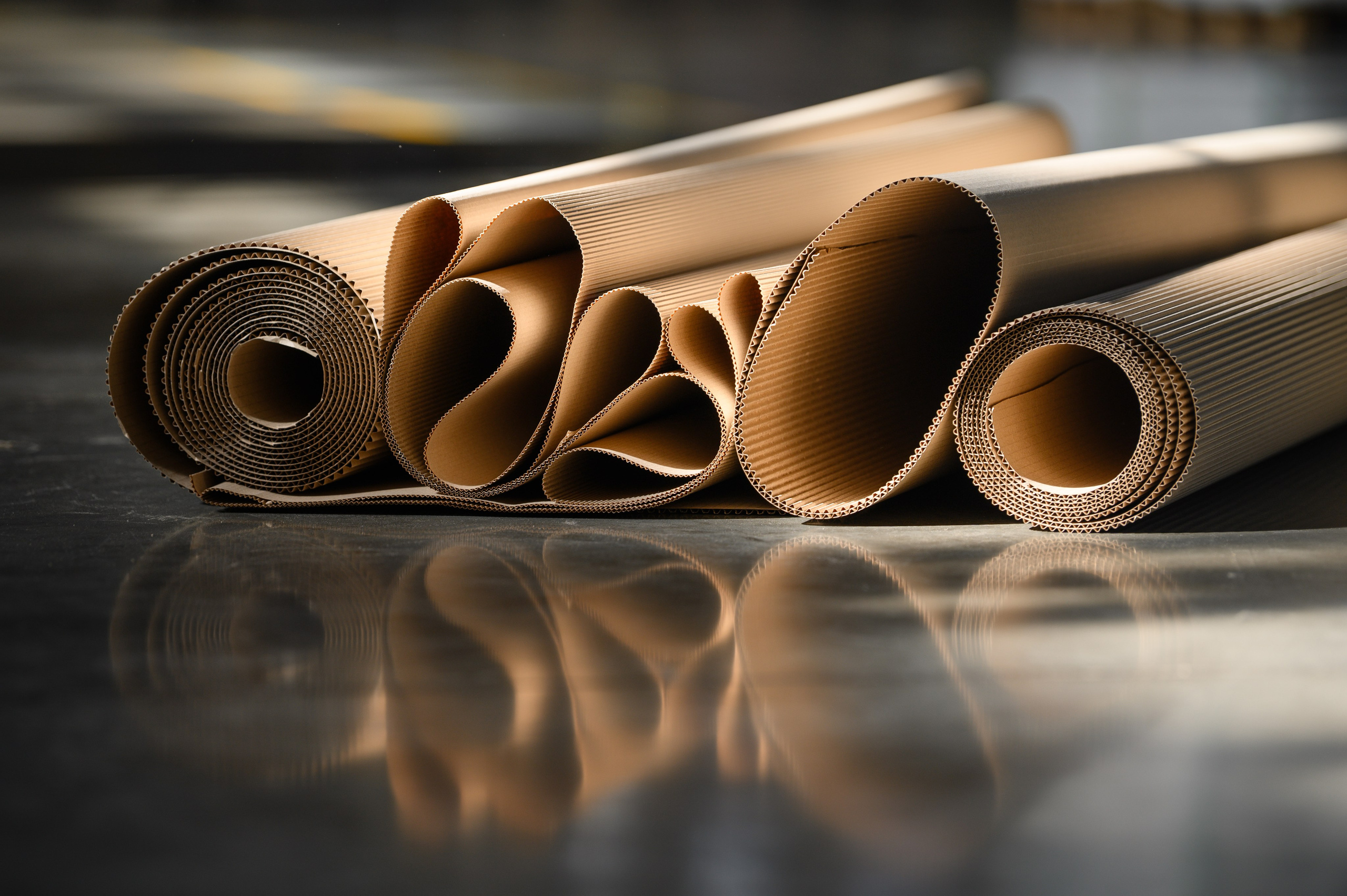 Проекты. Профессиональный фотограф Вячеслав Плацында | Липецк |