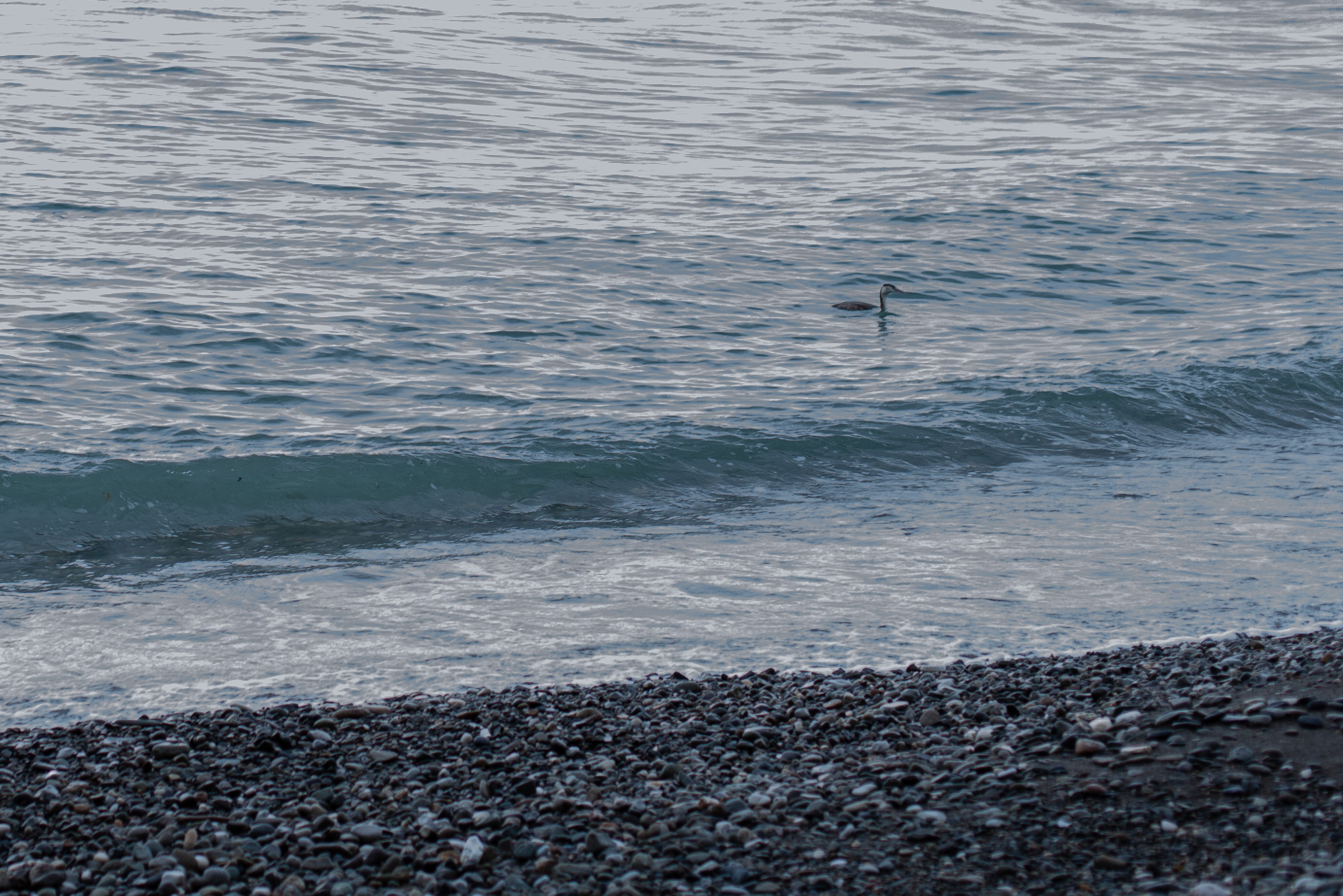 Mob Journal. Katya Tyulyandina