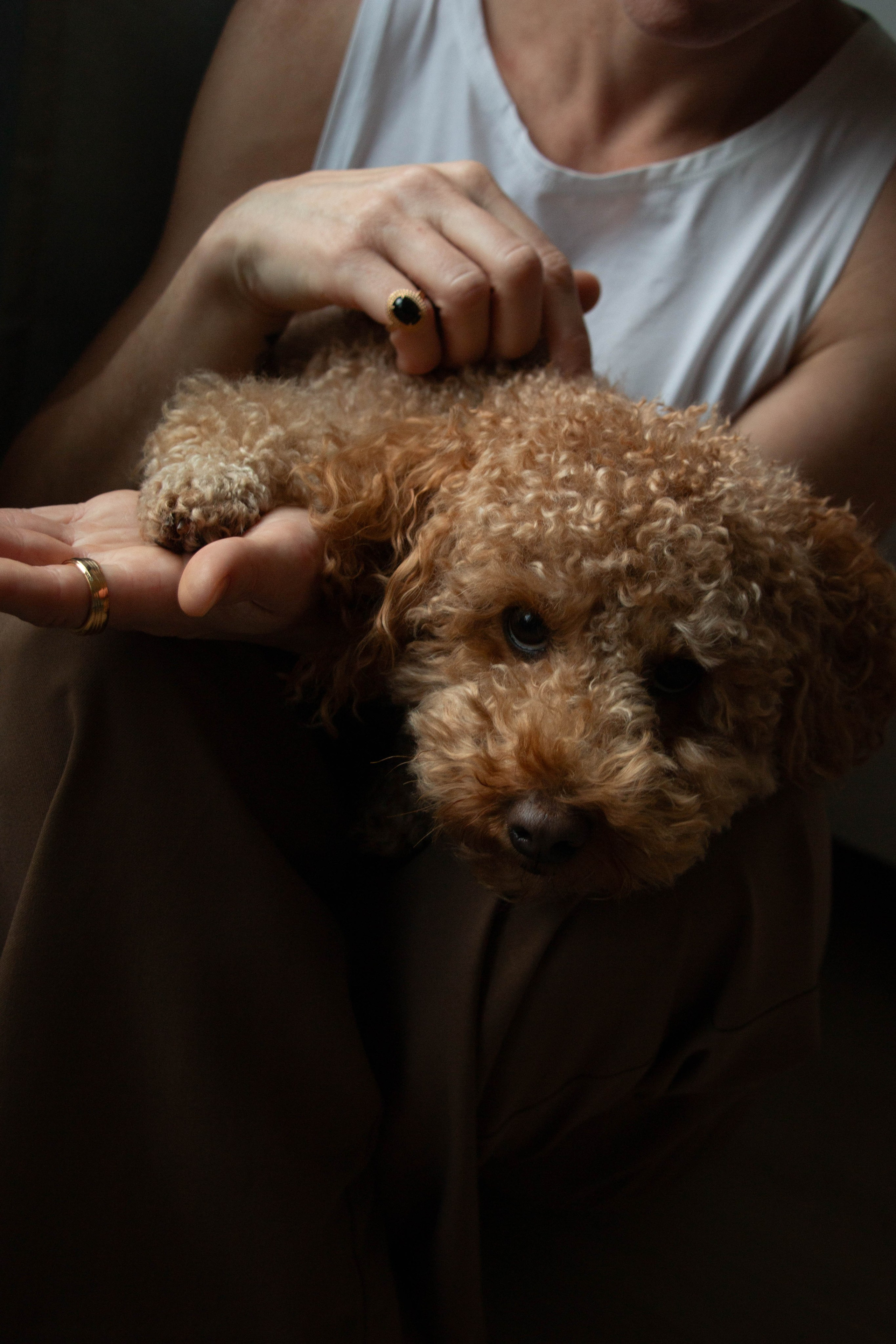 Olga & Eric. Бережно сохраняю ваши чувства и истории на своих фотографиях