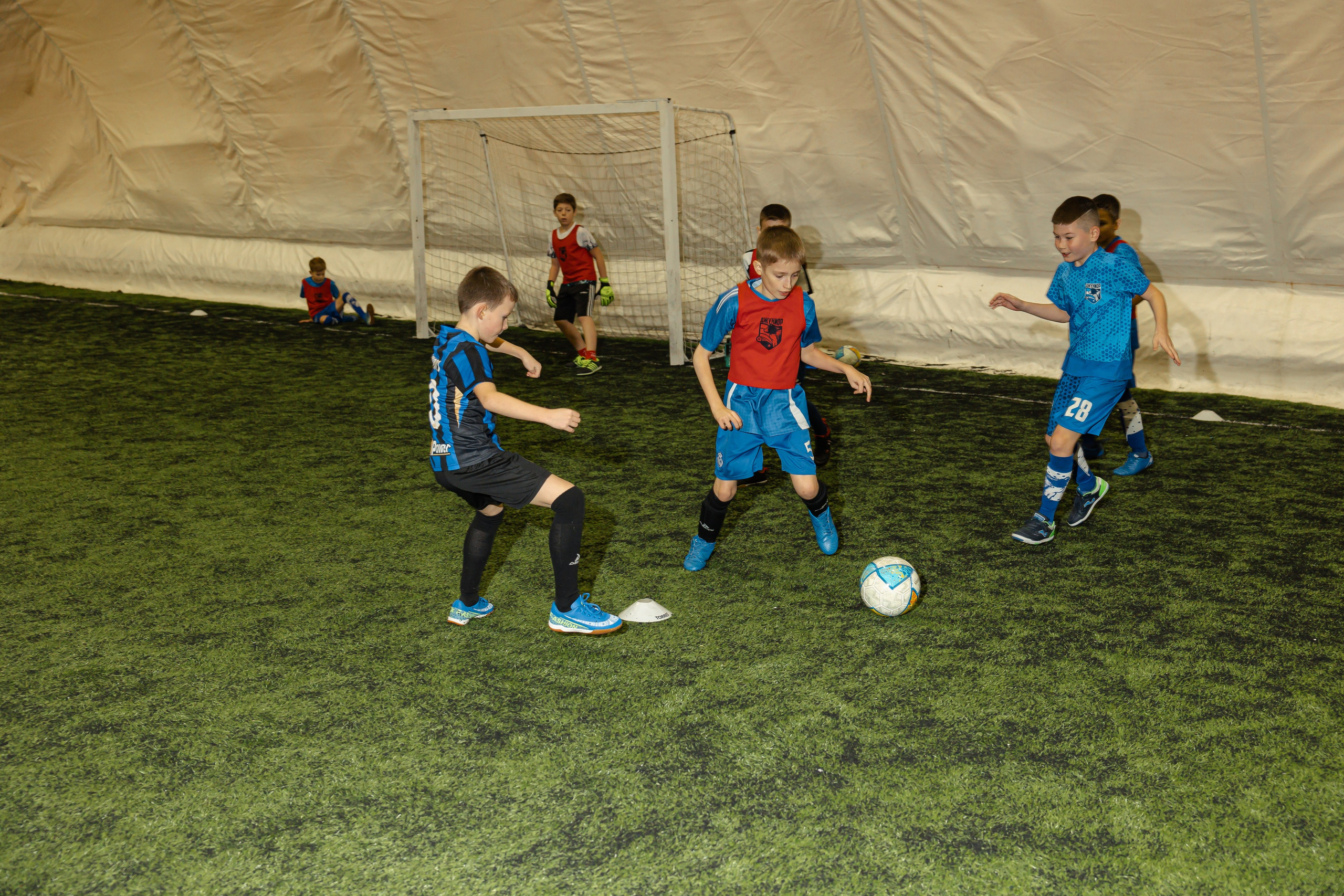 Турнир «Джуниор». Фотограф Вячеслав Фарунин