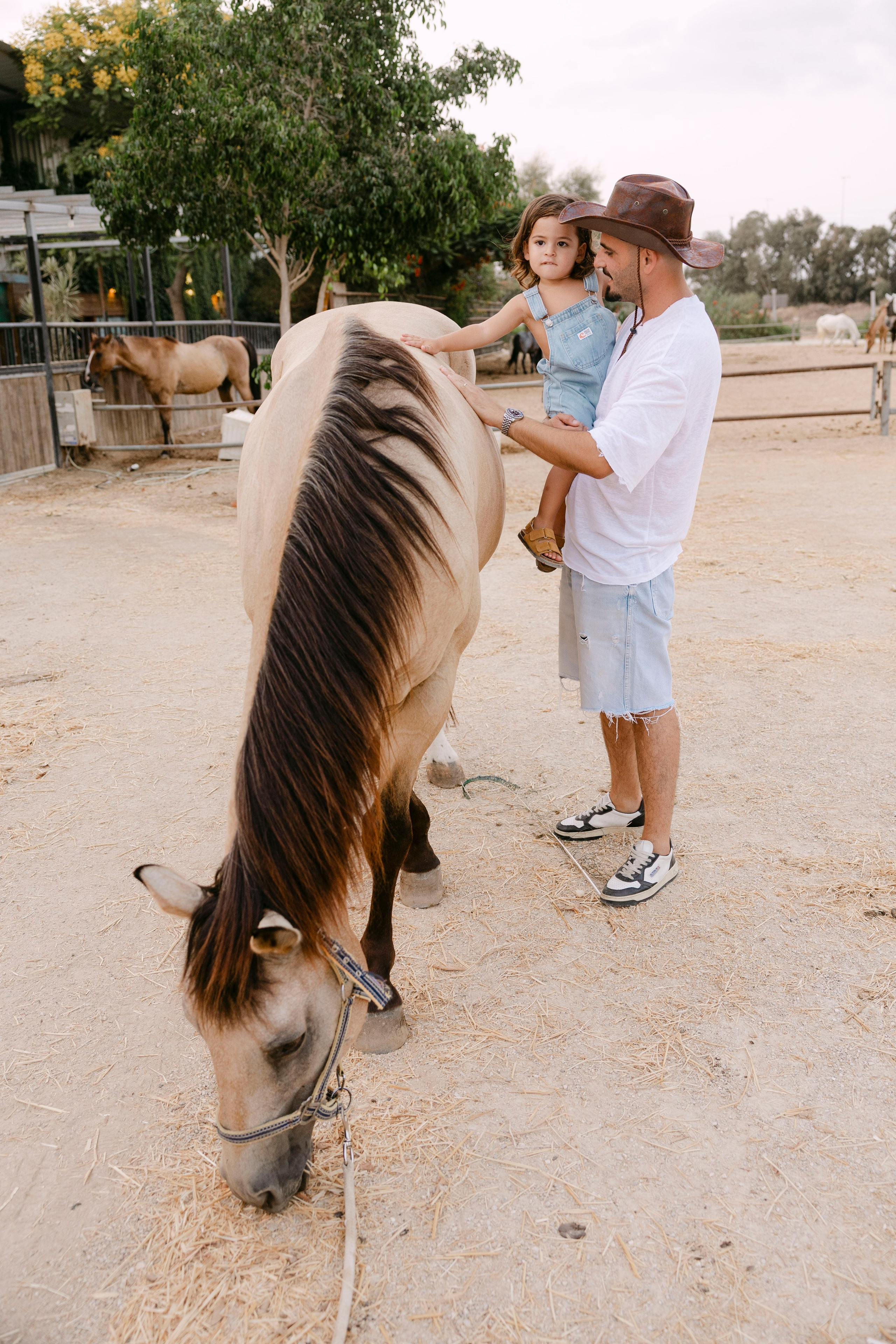 Pregnancy photoshoot at the horse farm. Главная